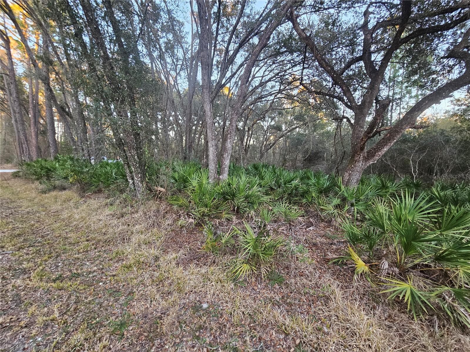 Land at ROSEHILL DR, WEBSTER, photo 3 of 6