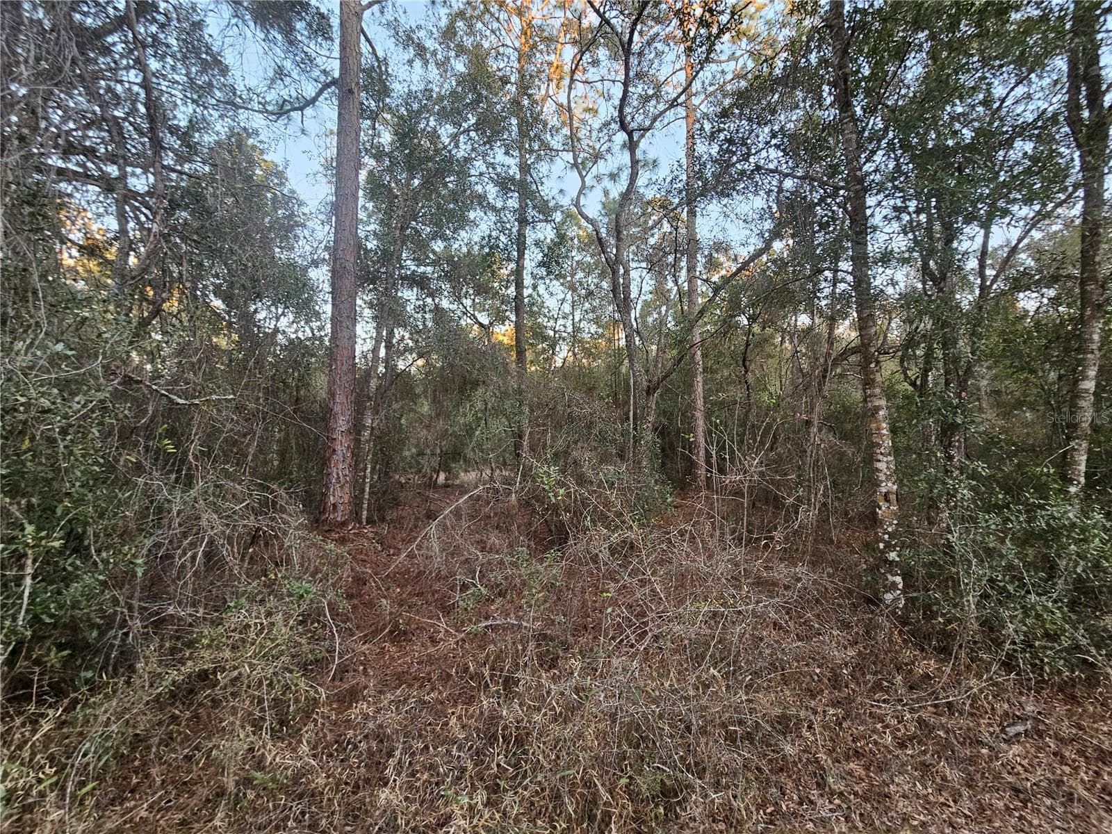 Land at ROSEHILL DR, WEBSTER, photo 4 of 6