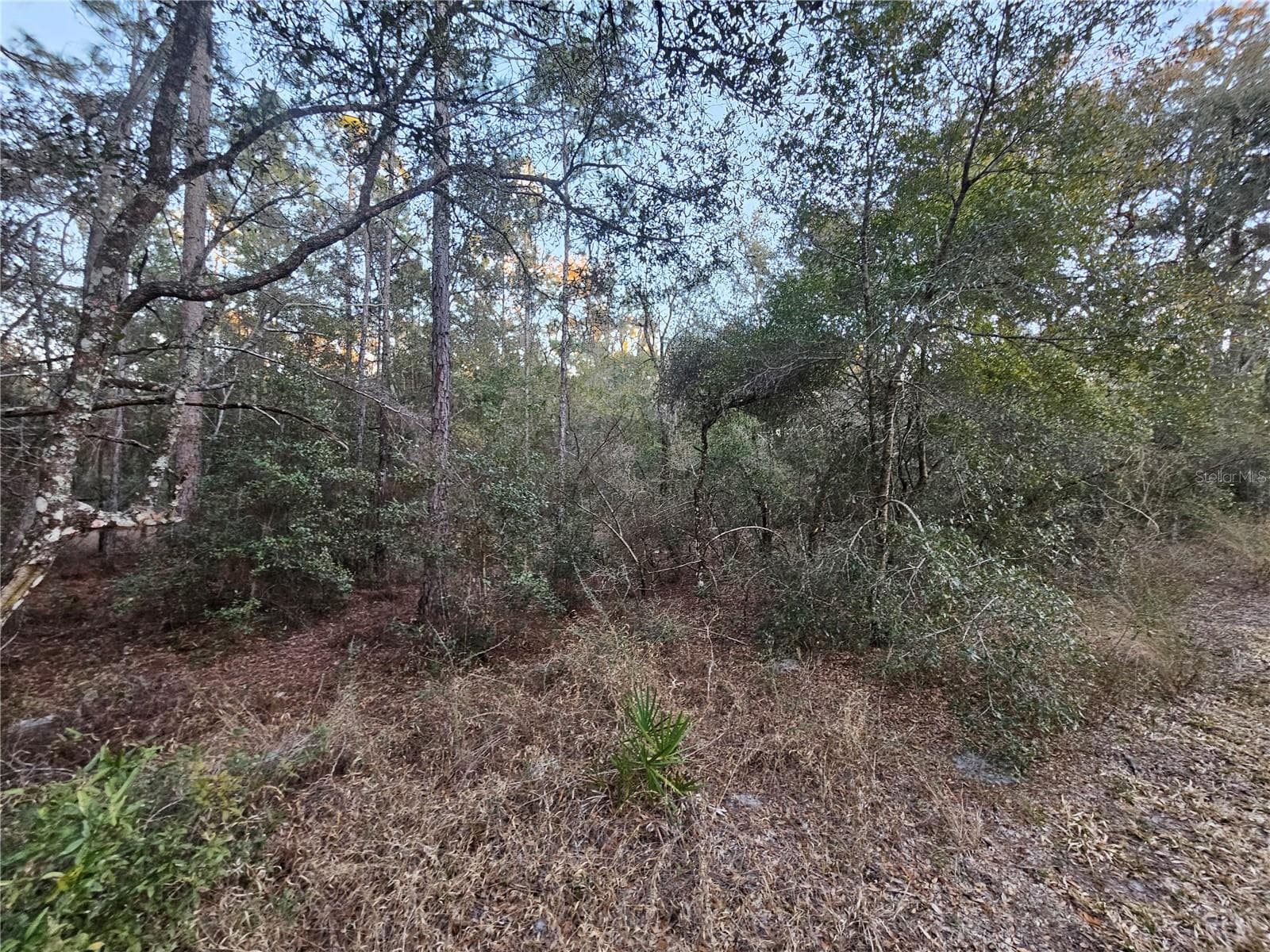 Land at ROSEHILL DR, WEBSTER, photo 5 of 6