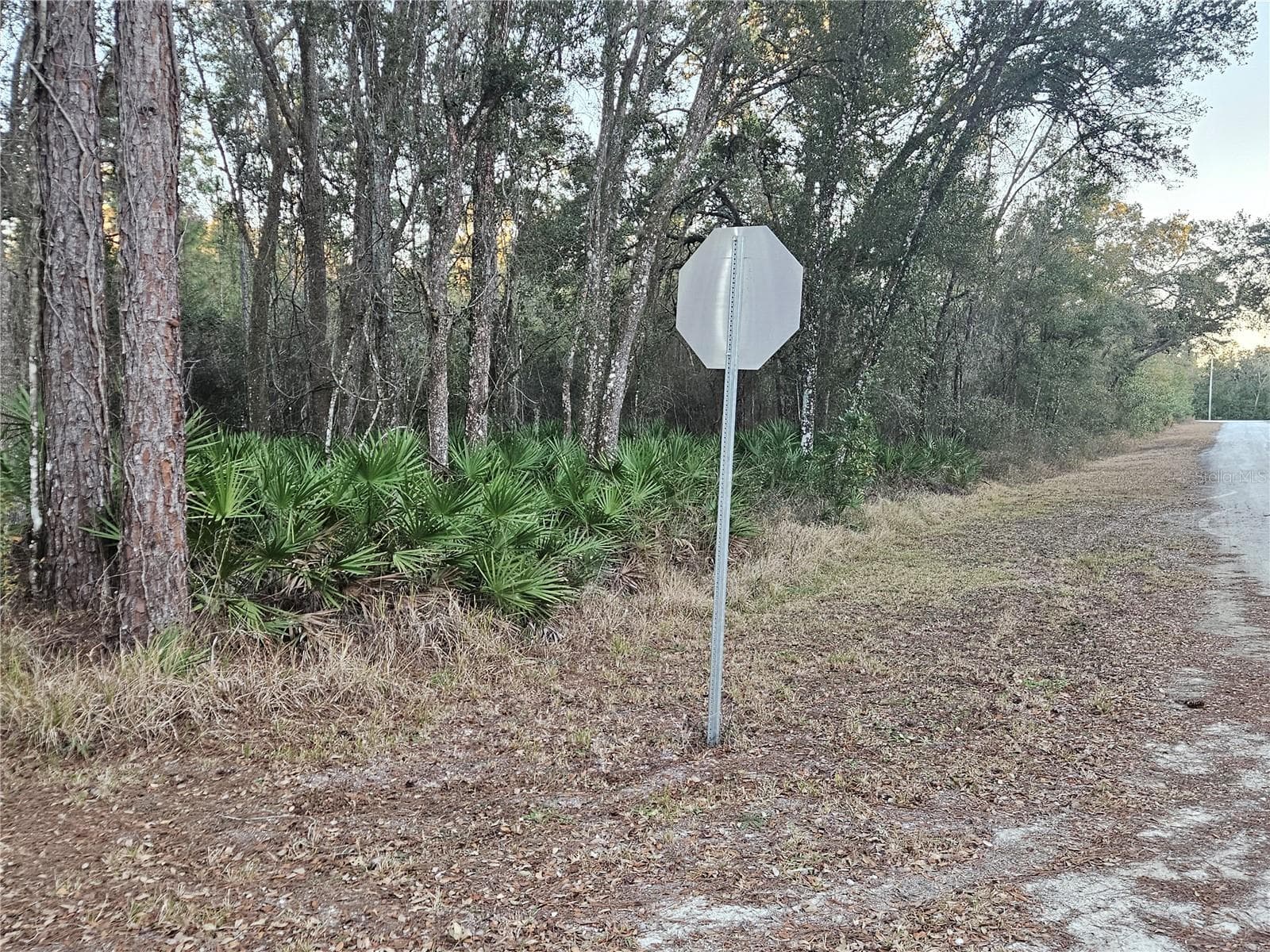 Land at ROSEHILL DR, WEBSTER, photo 6 of 6