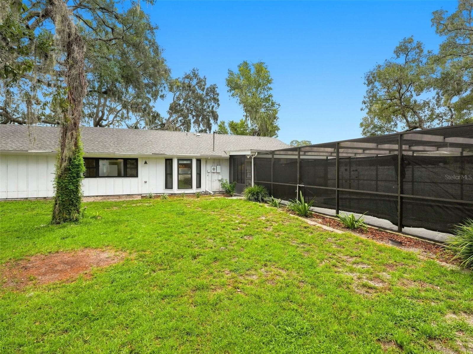 Backyard - 1139 DESMOND AVE, SPRING HILL