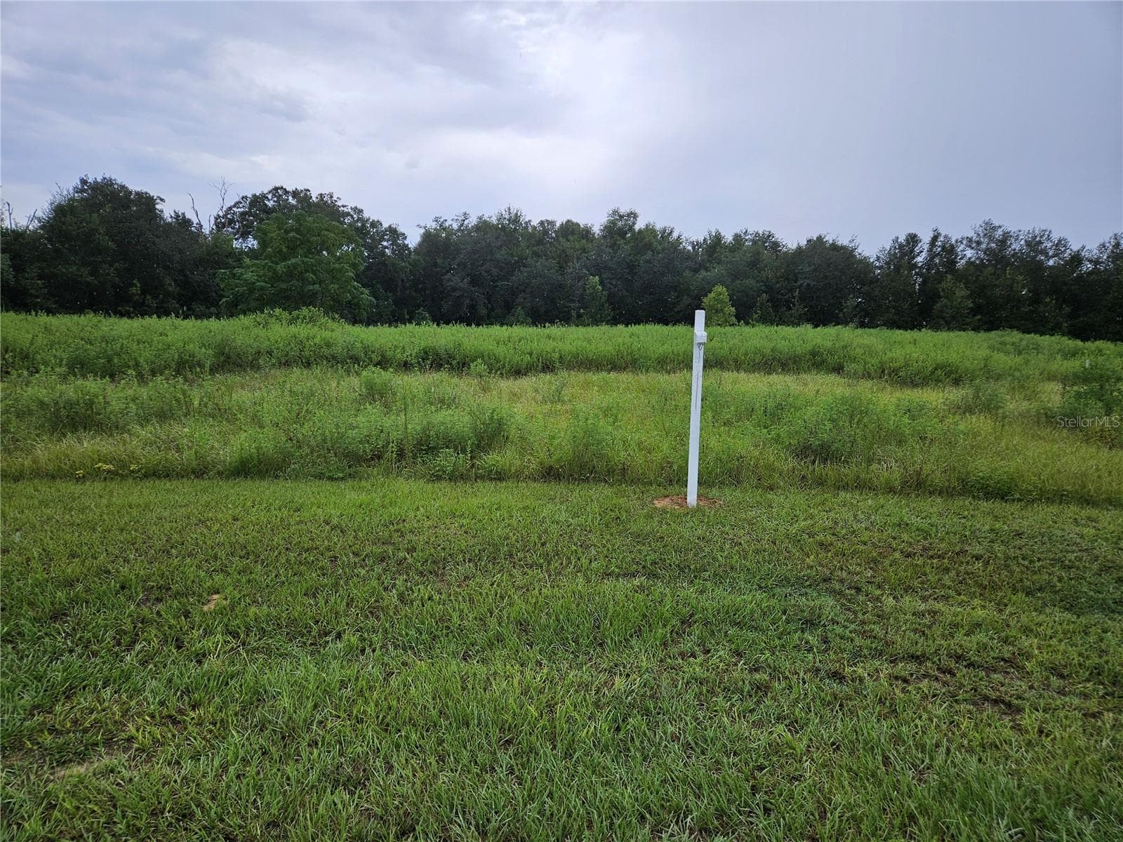 Land at 8801 VALERIE CT, ZEPHYRHILLS, photo 2 of 8