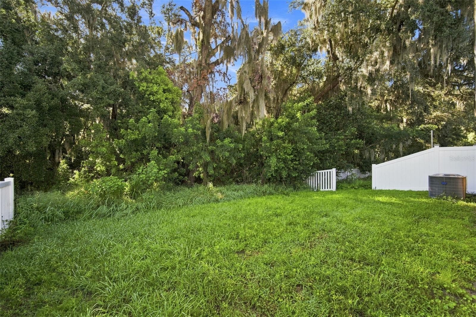 Single Family Residence at 10920 CARLTON FIELDS DR, RIVERVIEW, photo 36 of 41