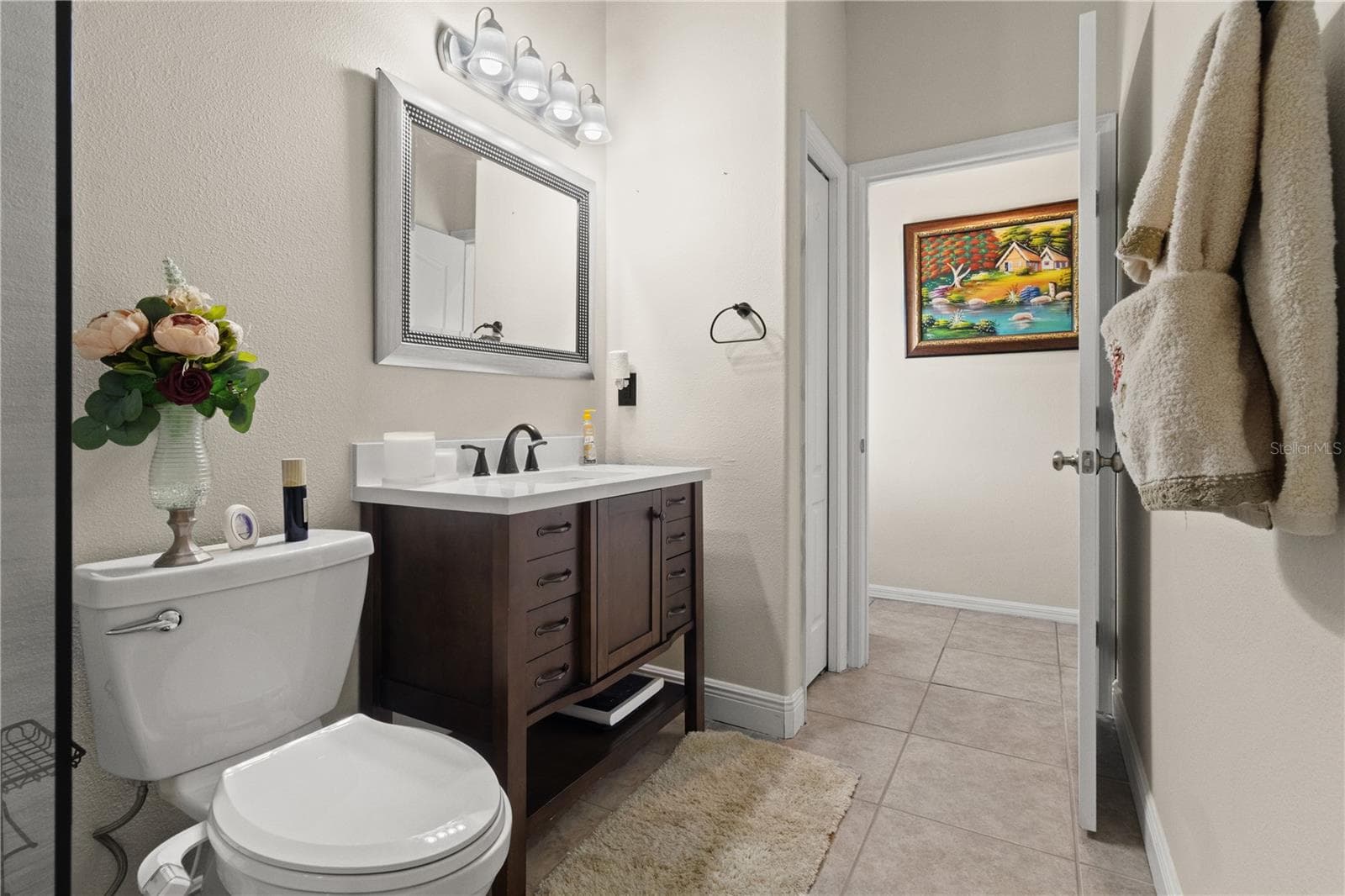 Downstairs bathroom - 5824 FISH CROW PL, LAND O LAKES