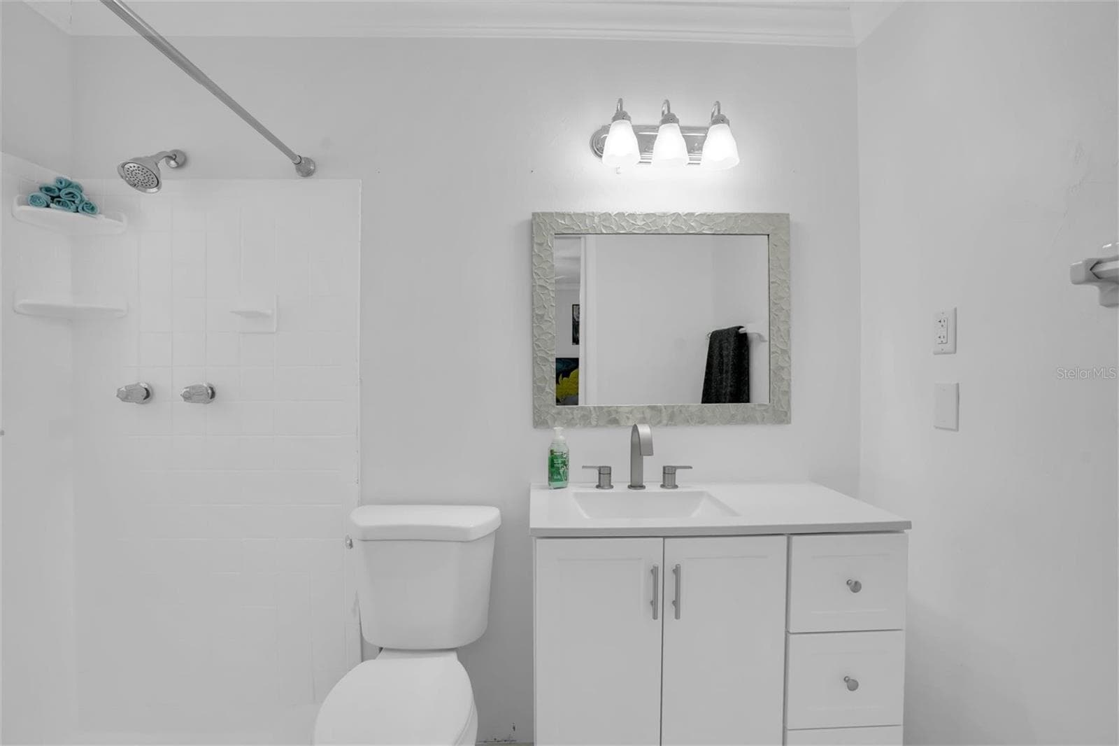 Single Family Residence at 12409 N BOULEVARD, TAMPA, photo 33 of 72