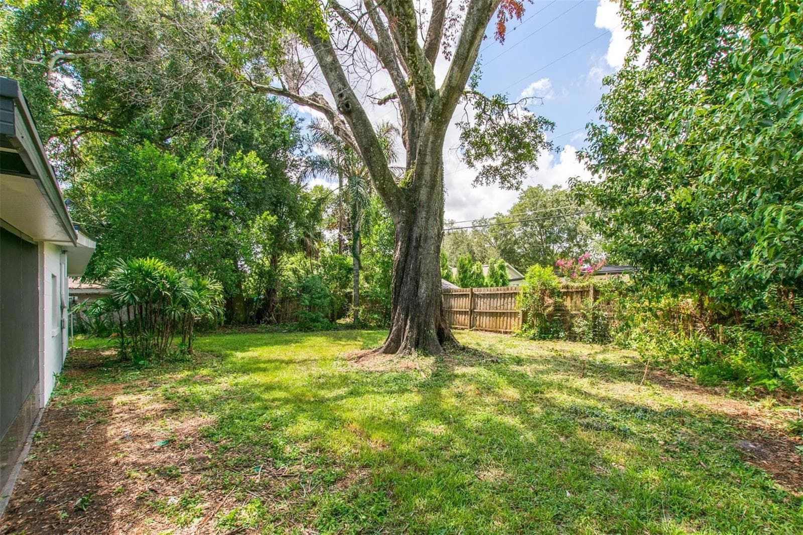 Backyard - 1008 BERWYN RD, ORLANDO