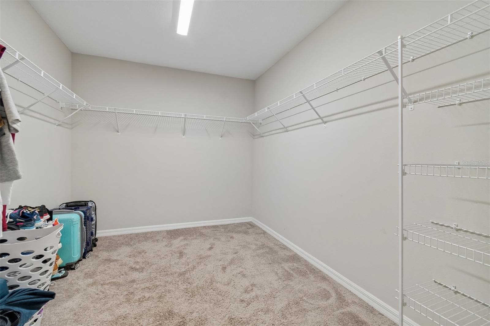 Master Walk-In Closet - 13113 FRUITVILLE WAY, RIVERVIEW