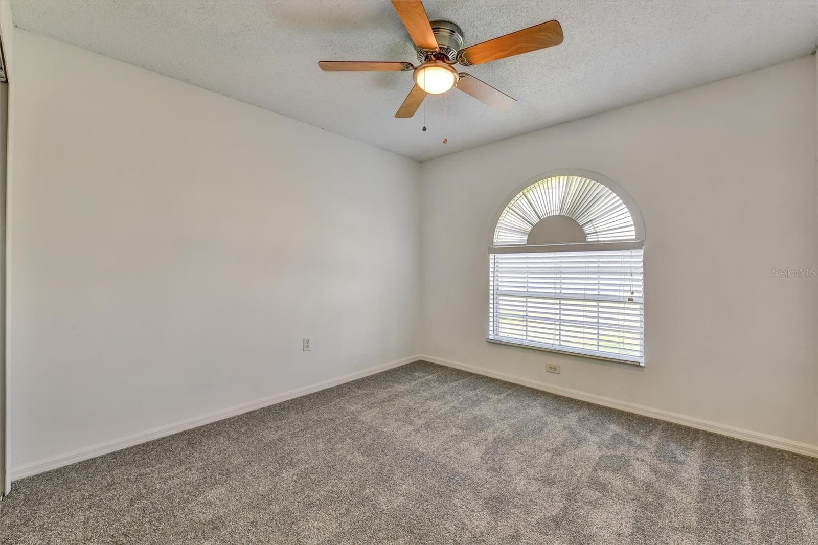 bedroom 1 - 510 CLOVERLEAF DR, LITHIA