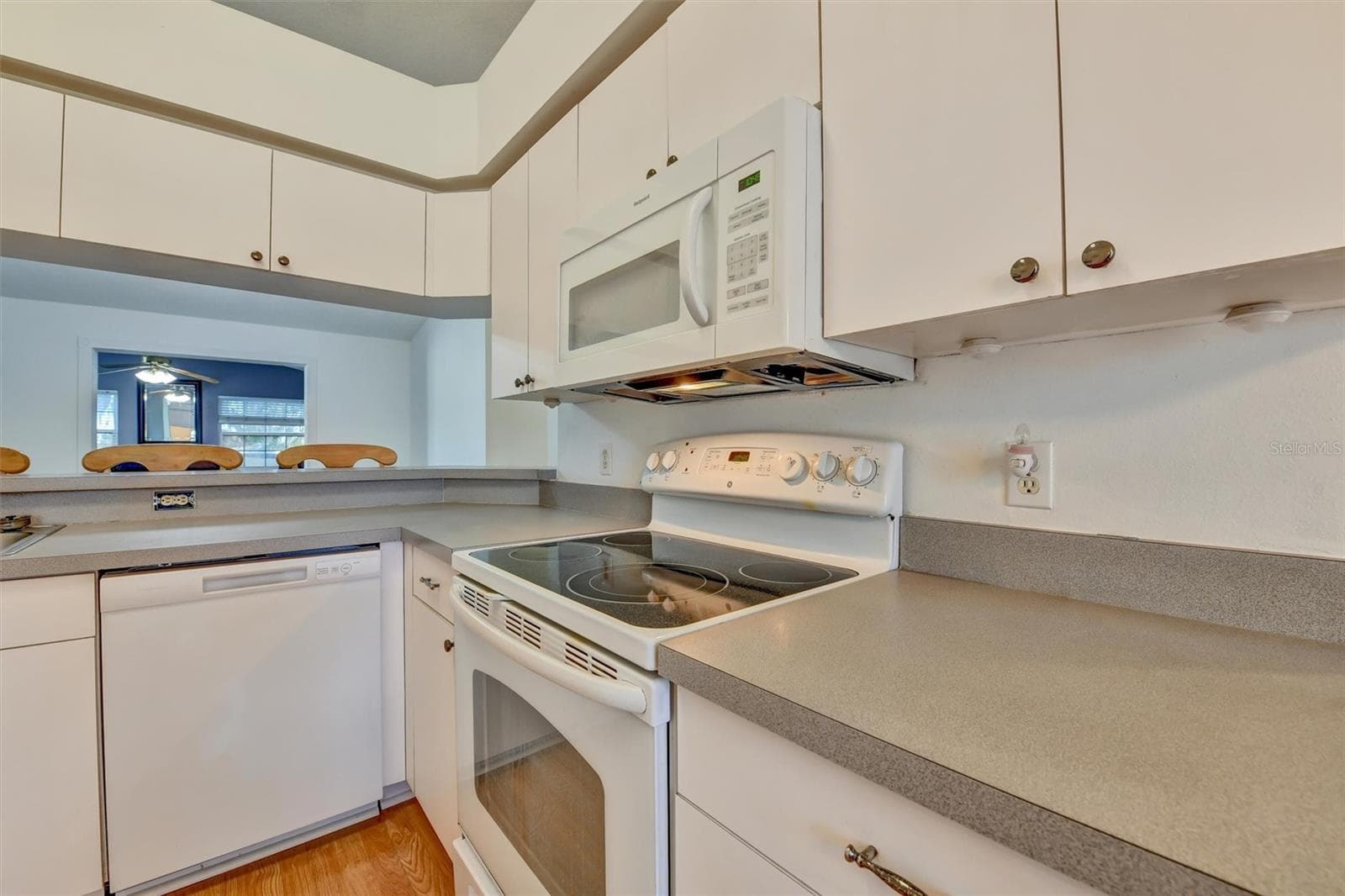 Kitchen - 510 CLOVERLEAF DR, LITHIA