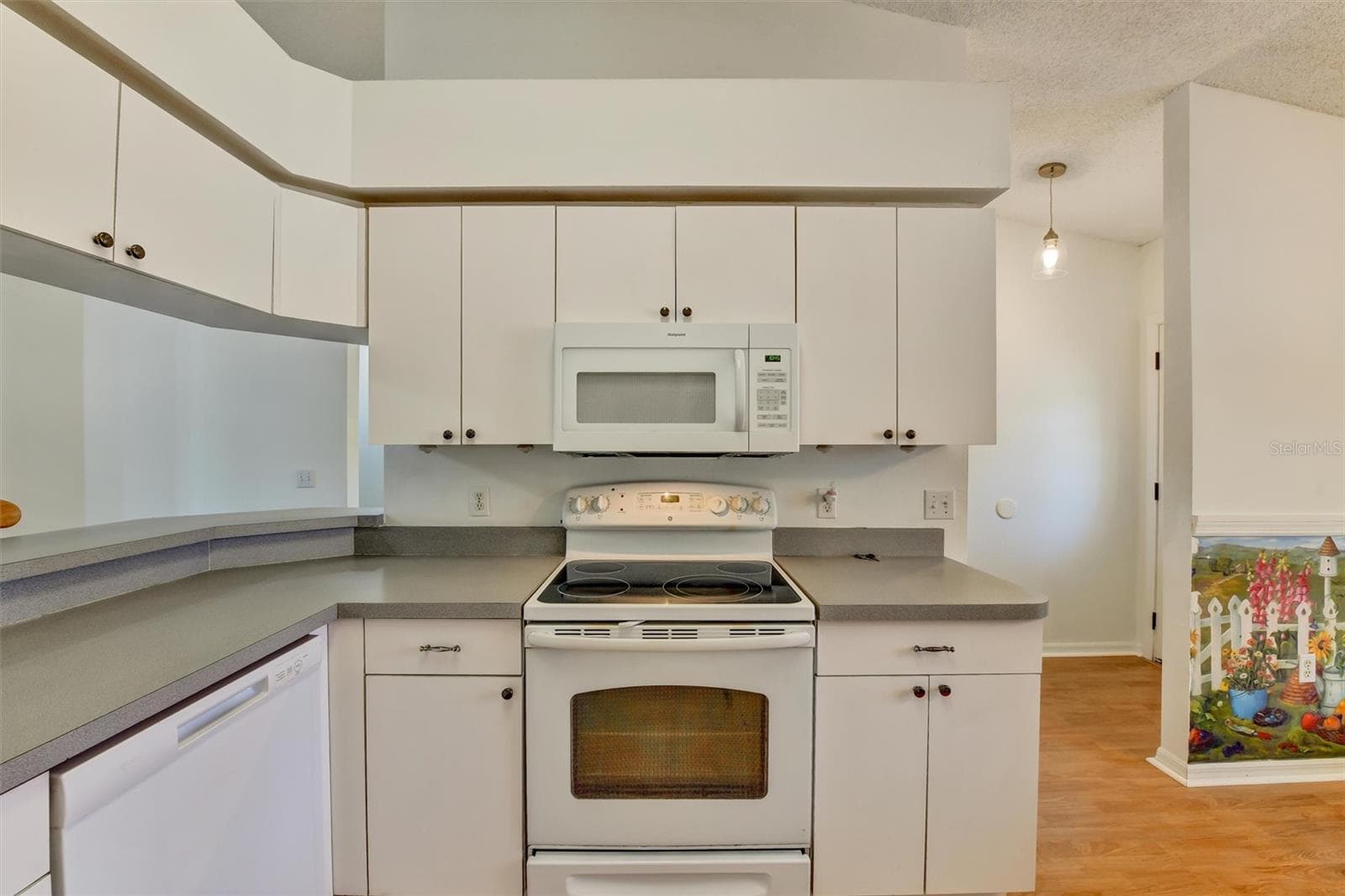 Kitchen - 510 CLOVERLEAF DR, LITHIA