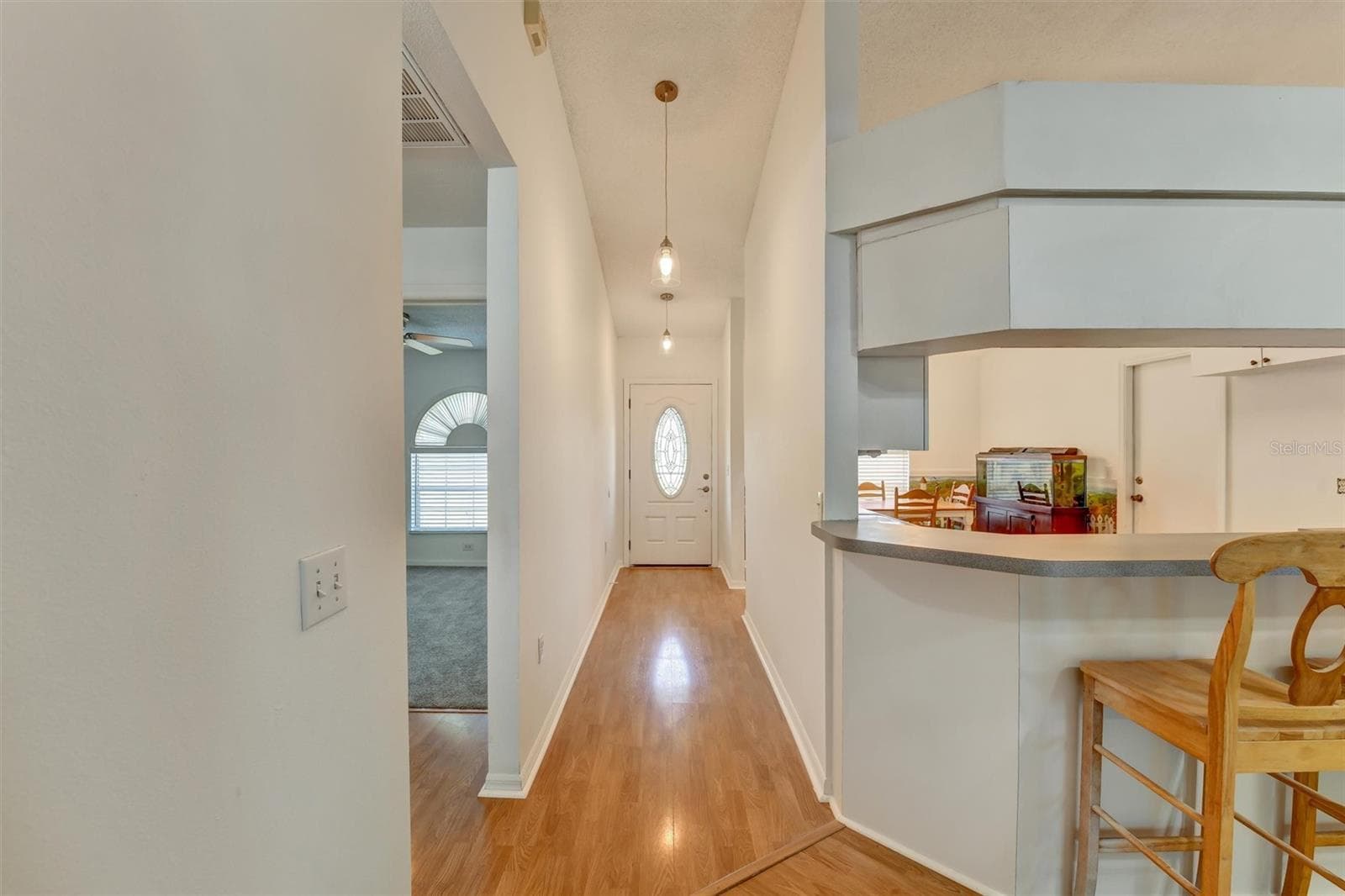 Foyer - 510 CLOVERLEAF DR, LITHIA
