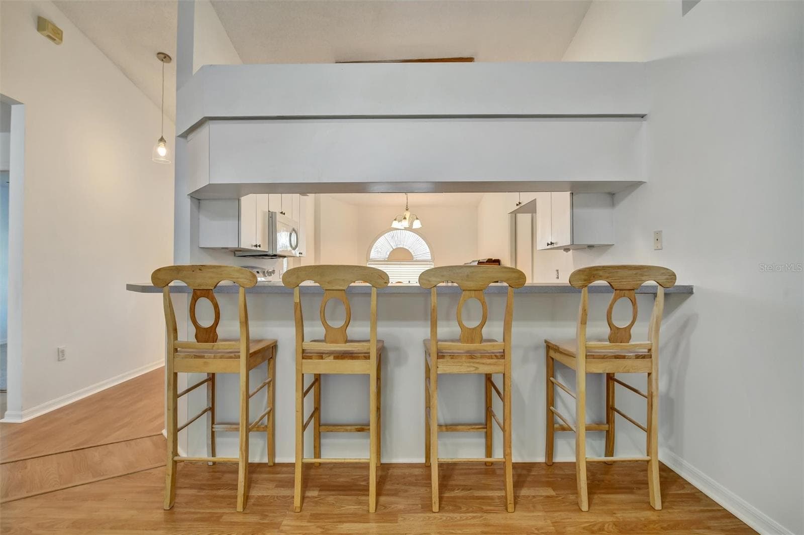 Kitchen Bar - 510 CLOVERLEAF DR, LITHIA
