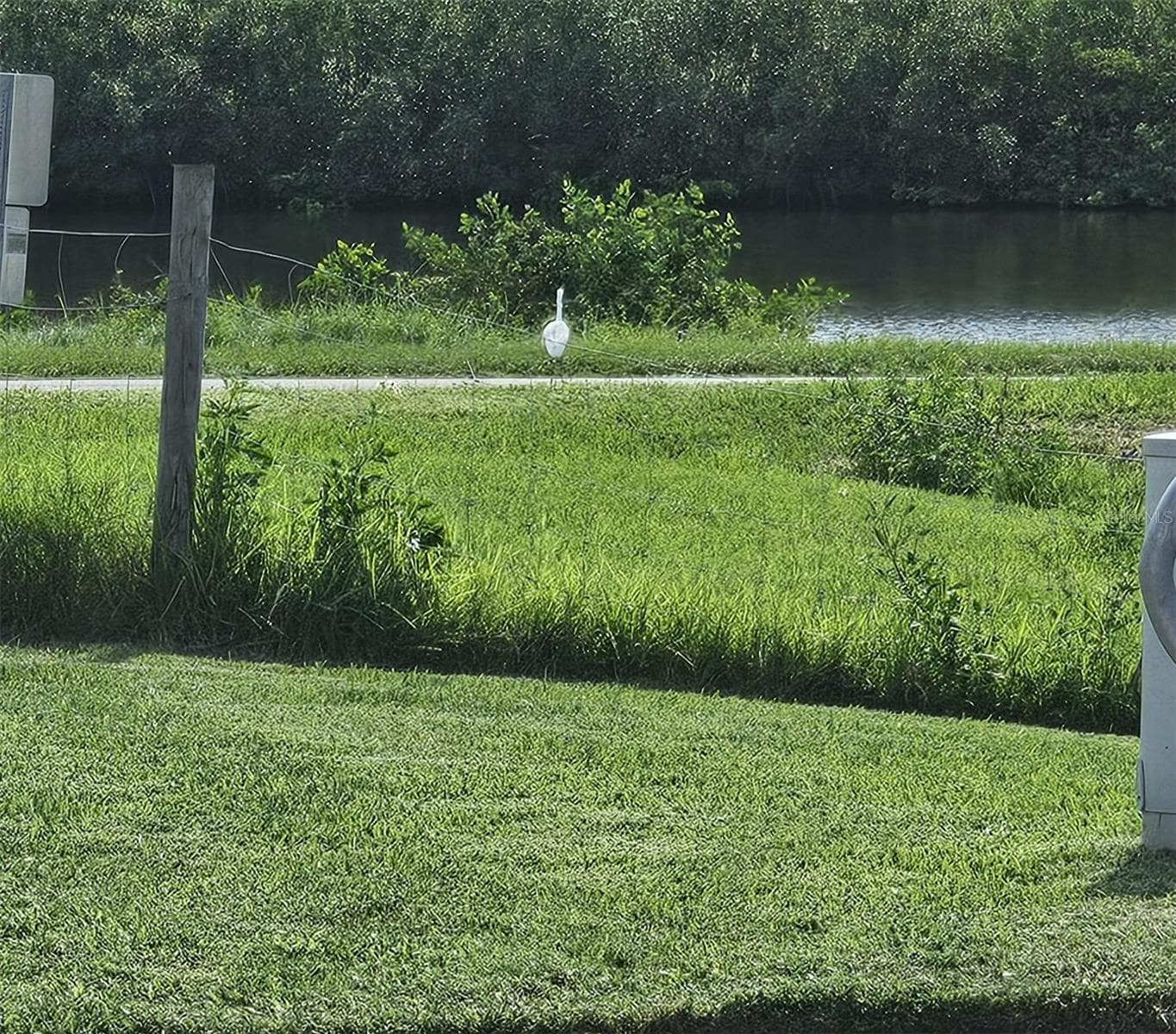 View of Lake Tarpon Outfall from the Garage - 603 CANAL WAY, OLDSMAR