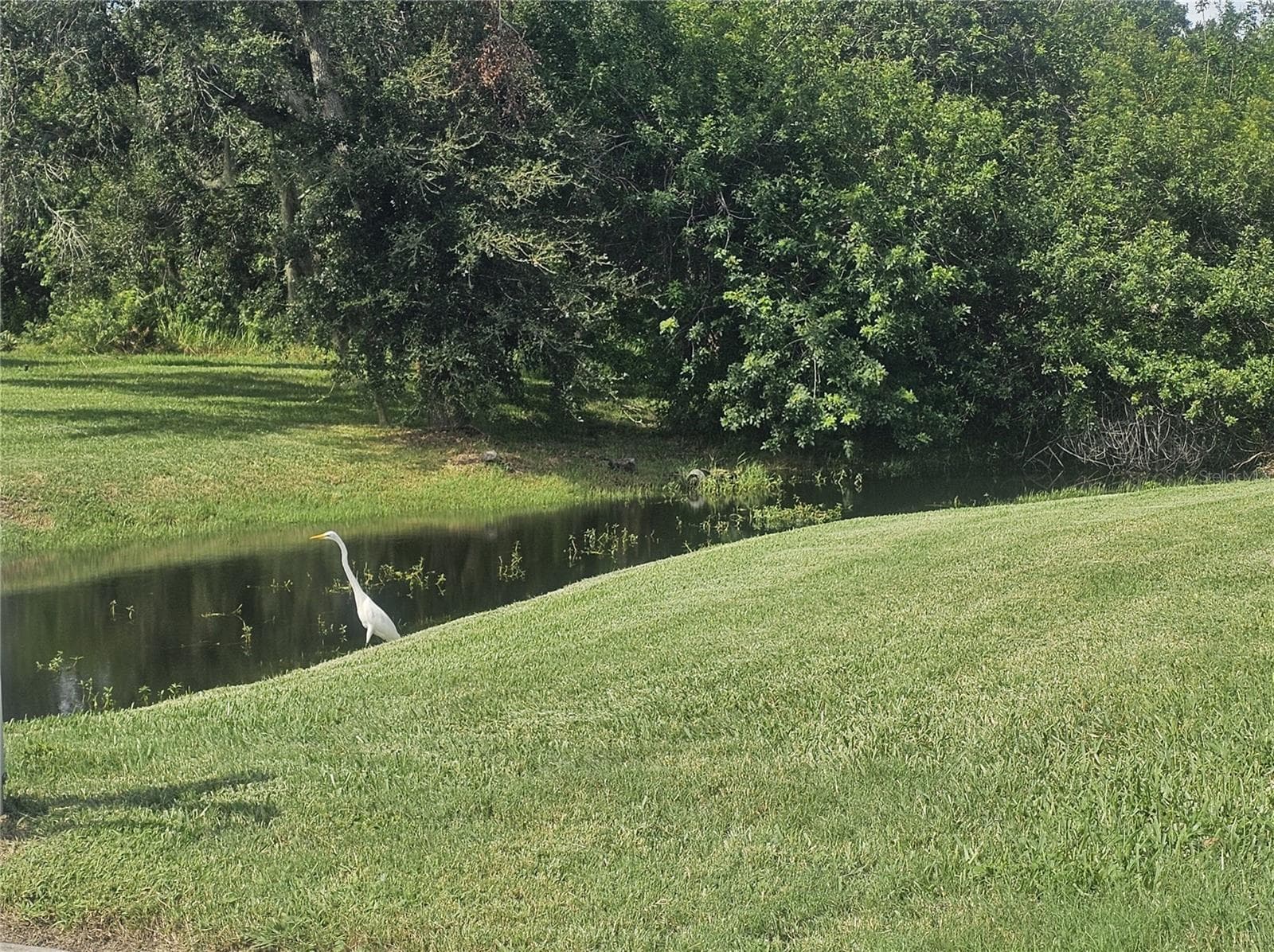 Left Side View - 603 CANAL WAY, OLDSMAR