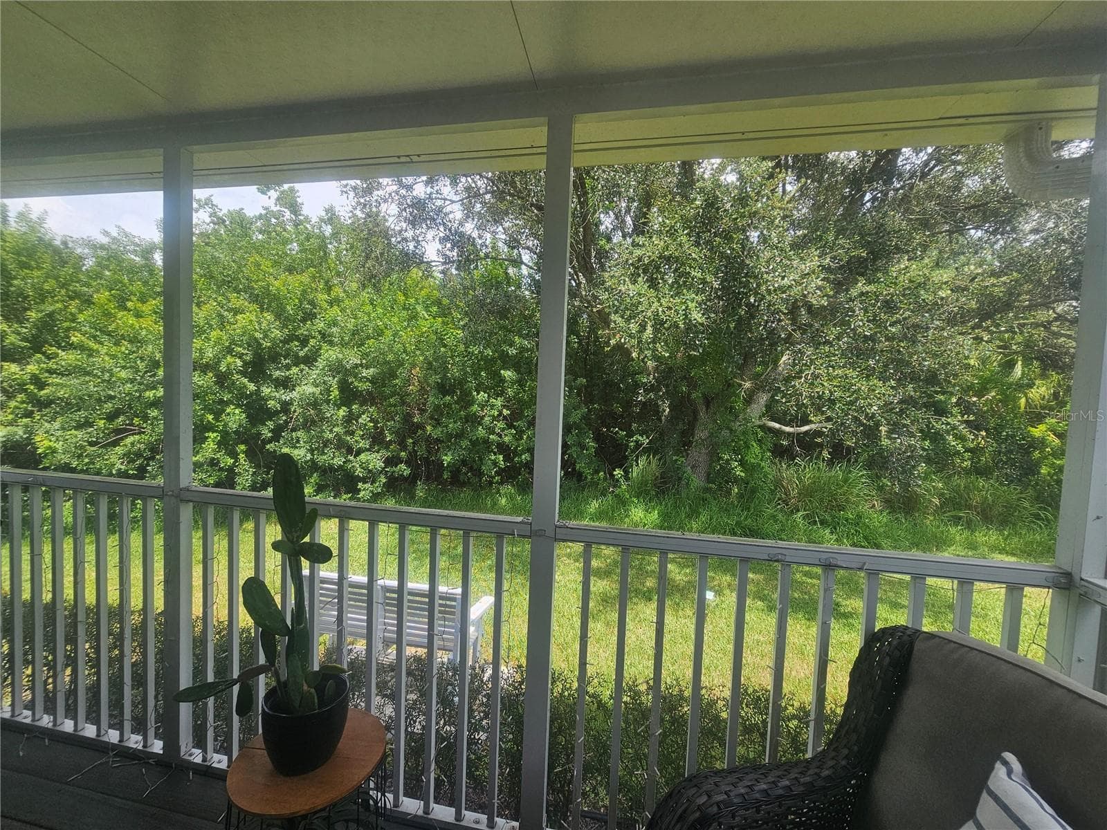 Screened-In Porch - 603 CANAL WAY, OLDSMAR