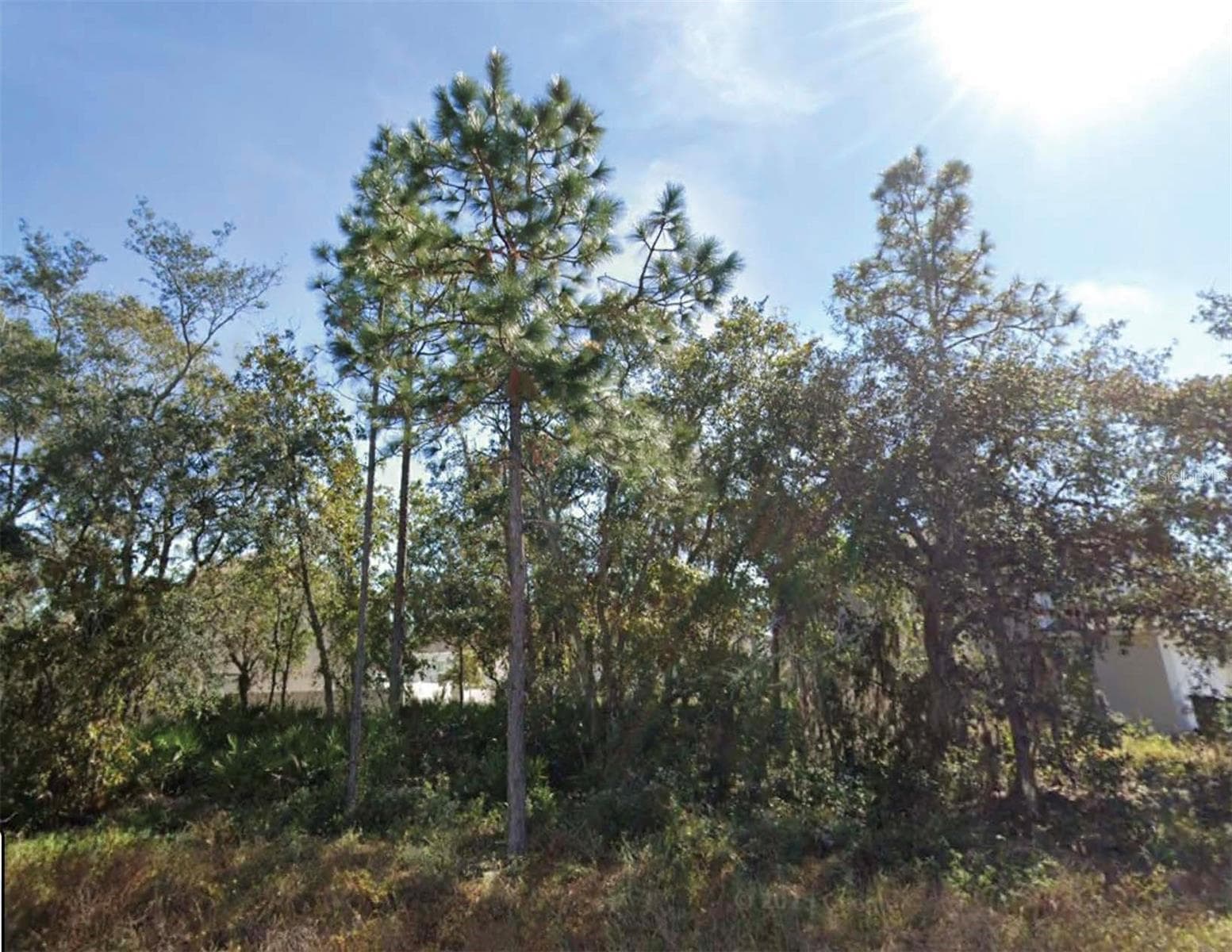 1626 PILCHARD CT