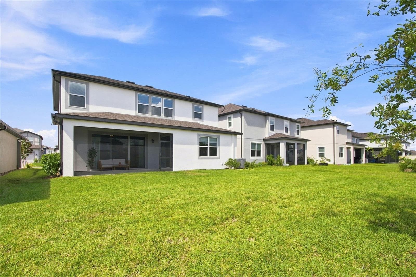 Tons of space at the back. - 31840 SAPNA CHIME DR, WESLEY CHAPEL