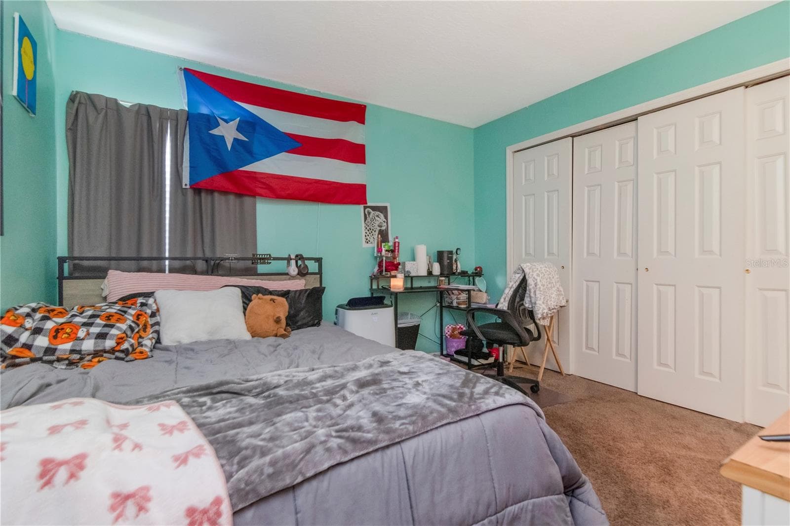 3rd bedroom - 19604 TIMBERBLUFF DR, LAND O LAKES