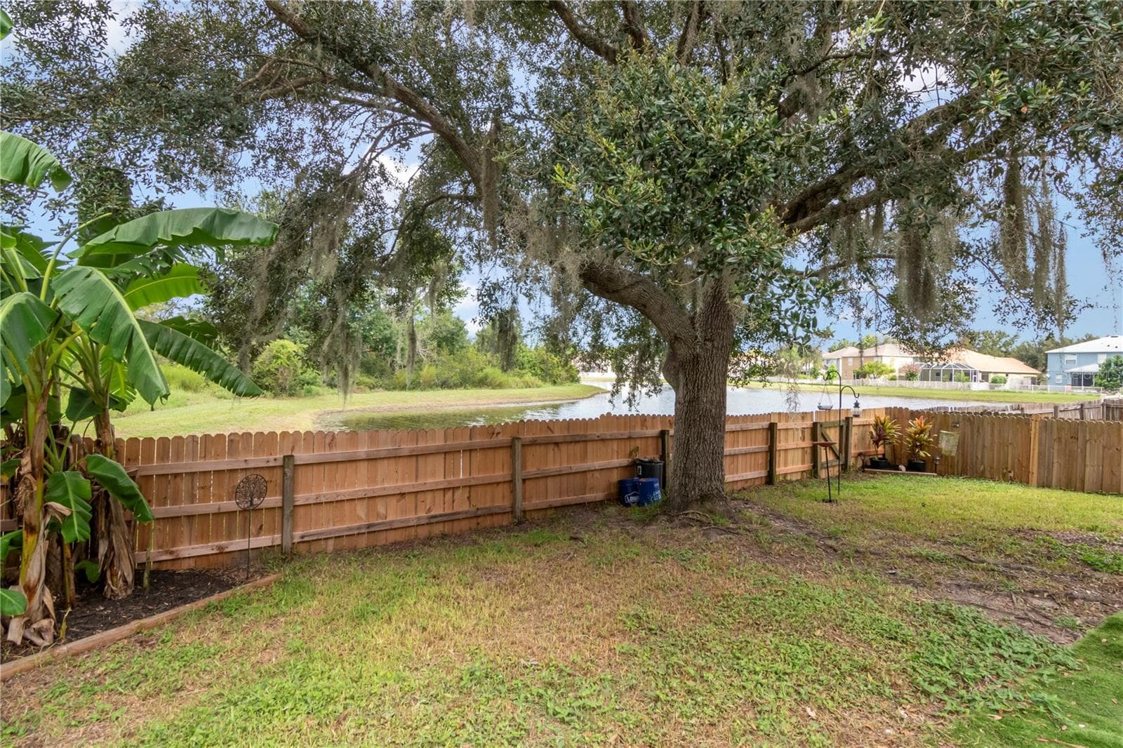 fenced backyard - 19604 TIMBERBLUFF DR, LAND O LAKES
