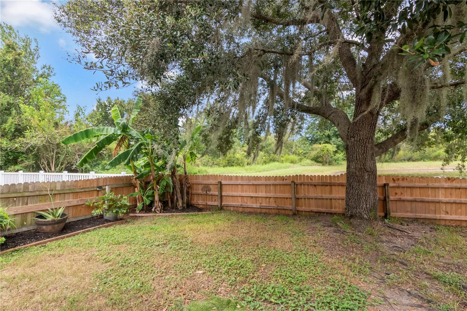 fenced backyard - 19604 TIMBERBLUFF DR, LAND O LAKES