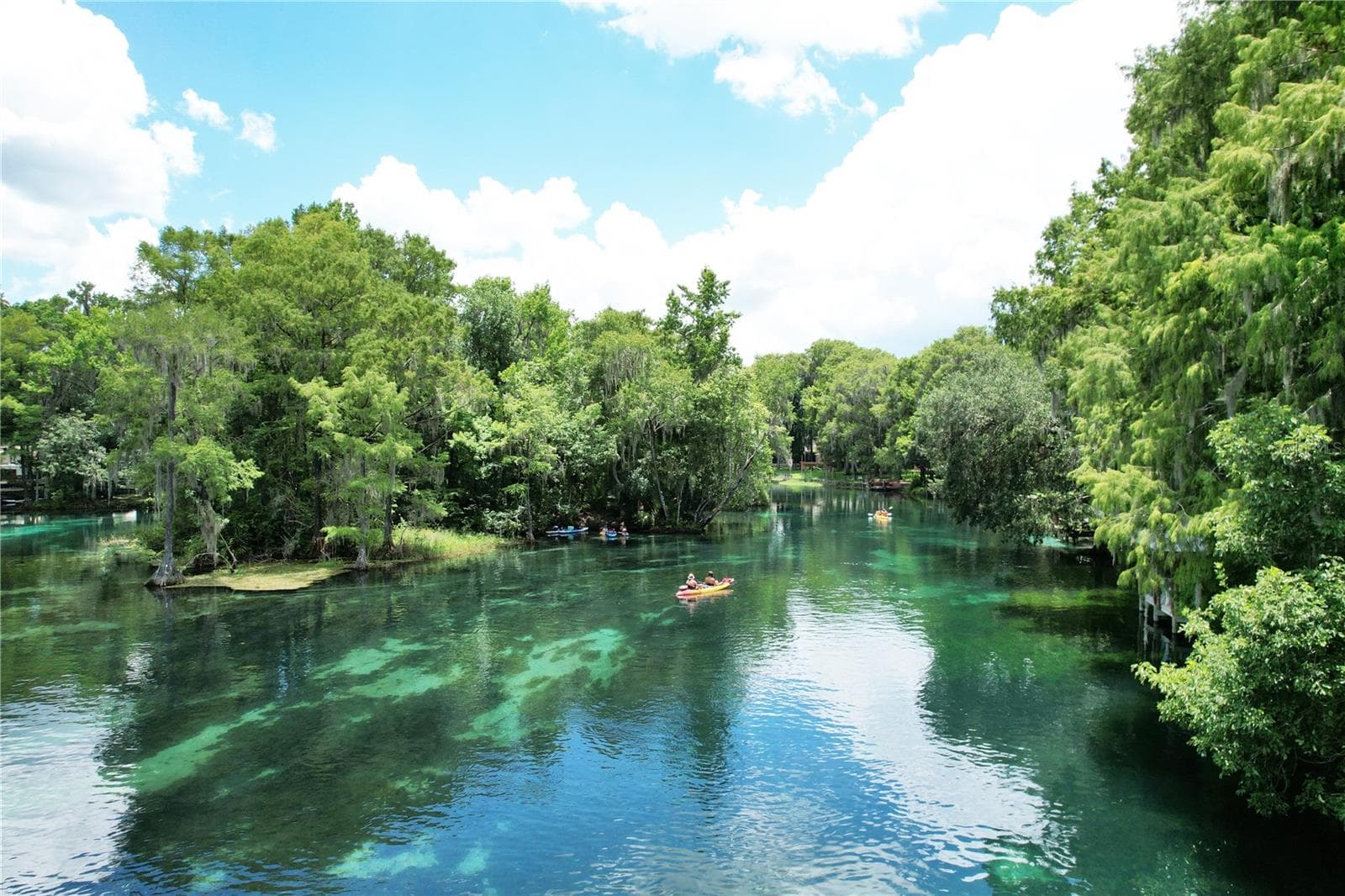 Single Family Residence at 19647 SW 93RD PL, DUNNELLON, photo 93 of 96