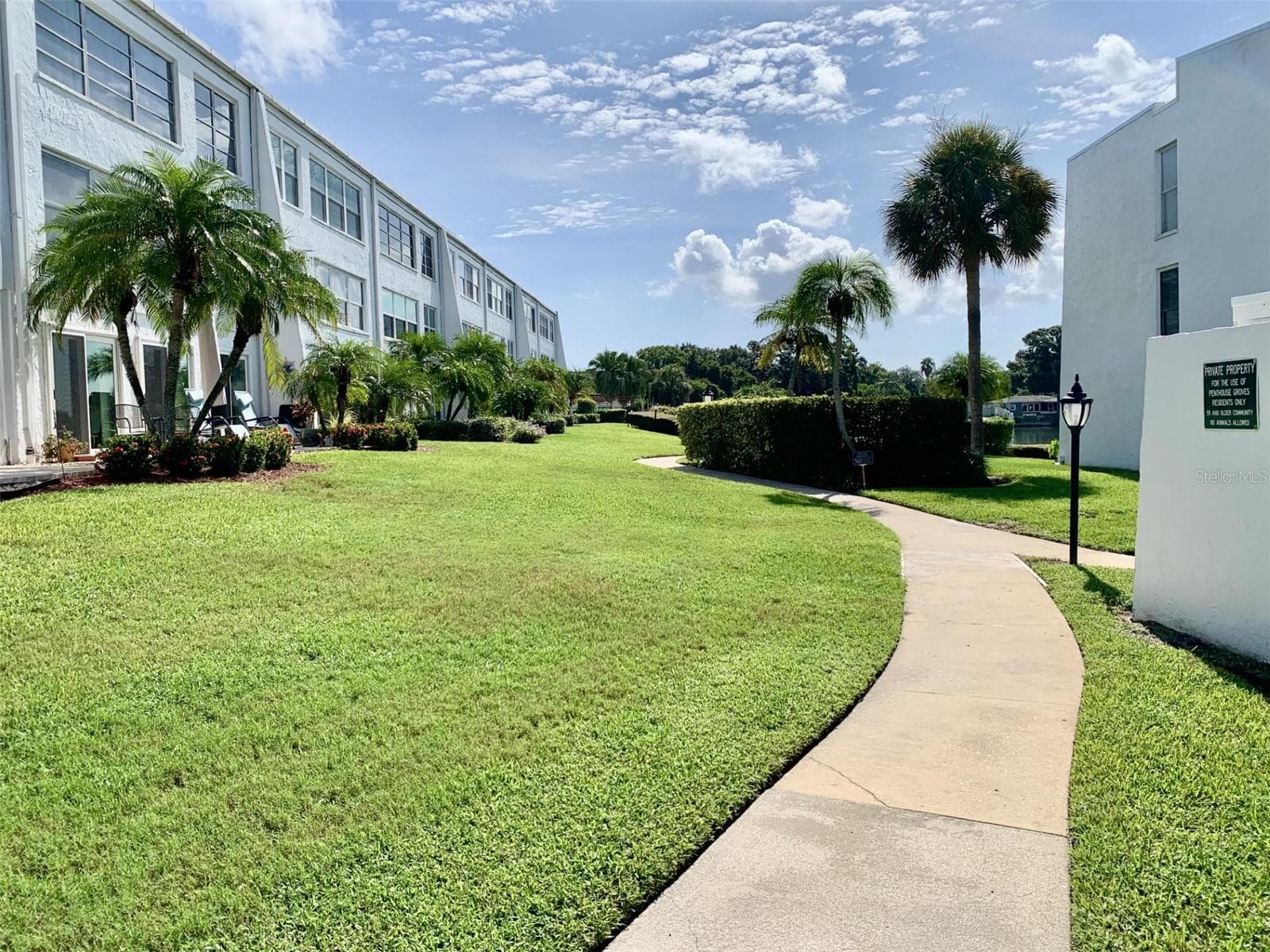 Exceptionally kept landscape - 1655 S HIGHLAND AVE #I379, CLEARWATER