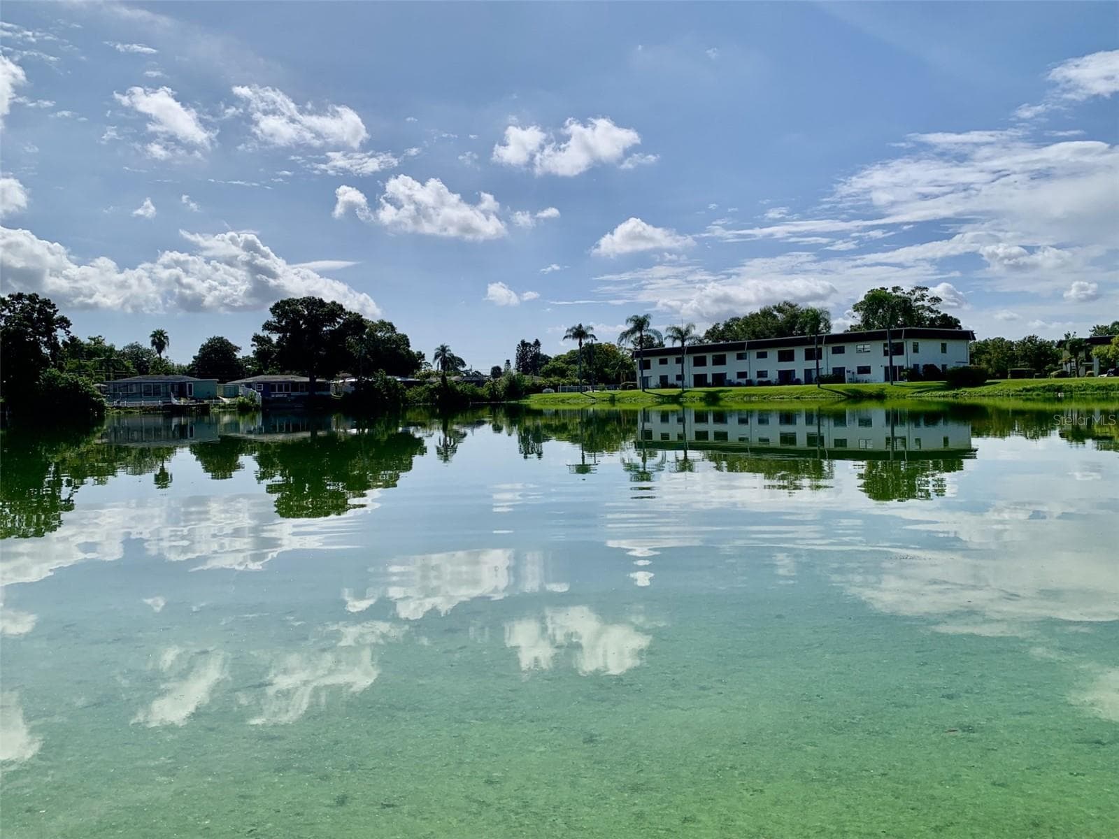 Pond viewed from the dock - 1655 S HIGHLAND AVE #I379, CLEARWATER