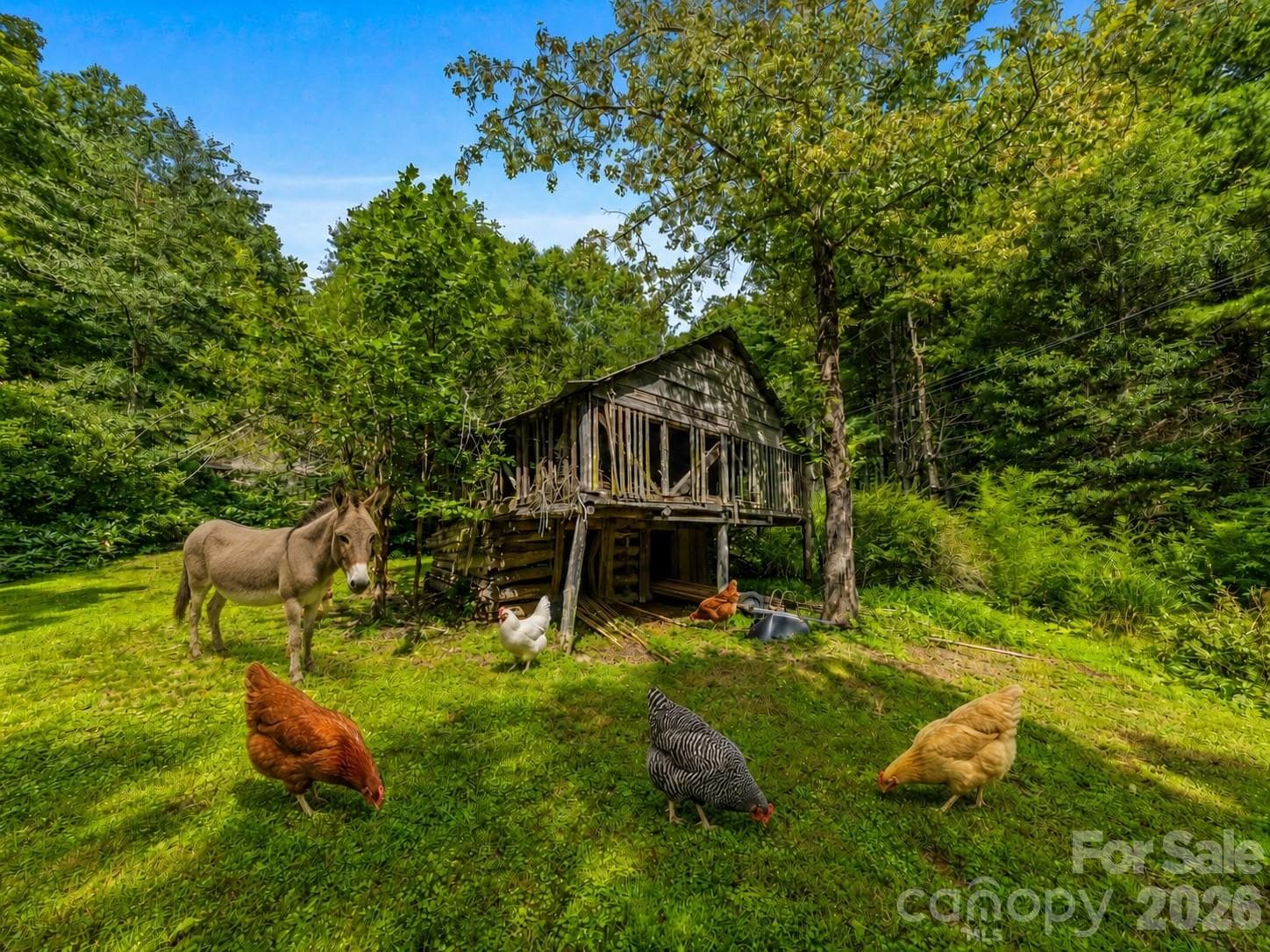 “Animals virtually added to illustrate mini-farm potential.”   Barn is included with property. - 81 Summer Trees Lane, Burnsville