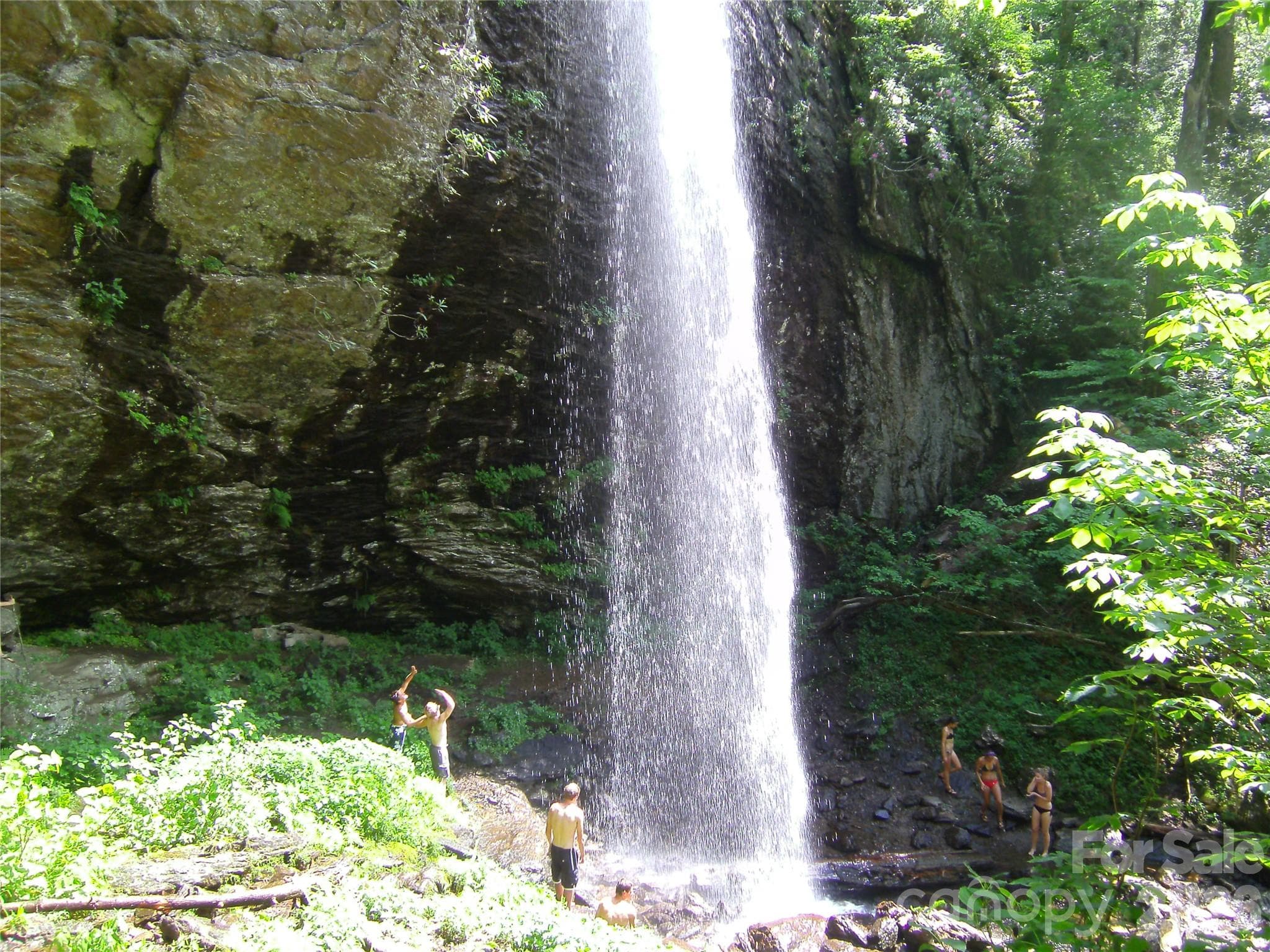 “Waterfall not located on the property—enjoy the abundance of breathtaking waterfalls found throughout Western North Carolina.” - 81 Summer Trees Lane, Burnsville