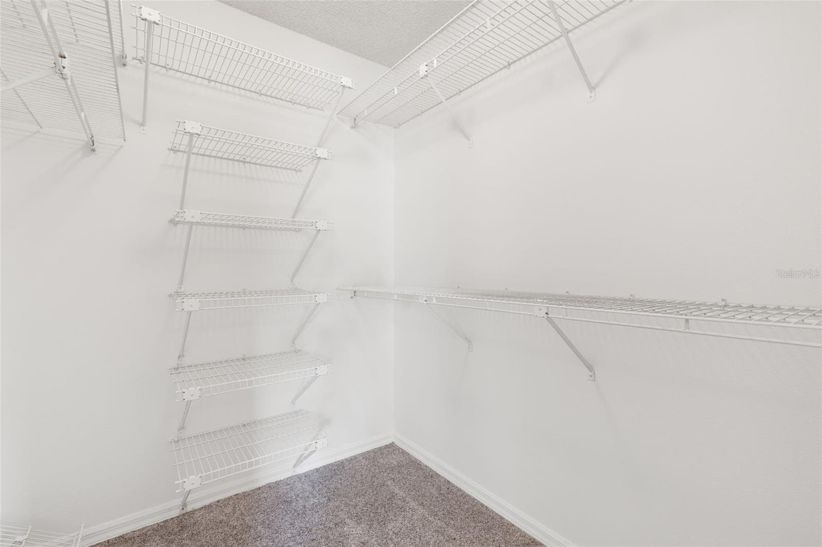 Primary walk-in closet - 1801 E LAKE RD #19D, PALM HARBOR