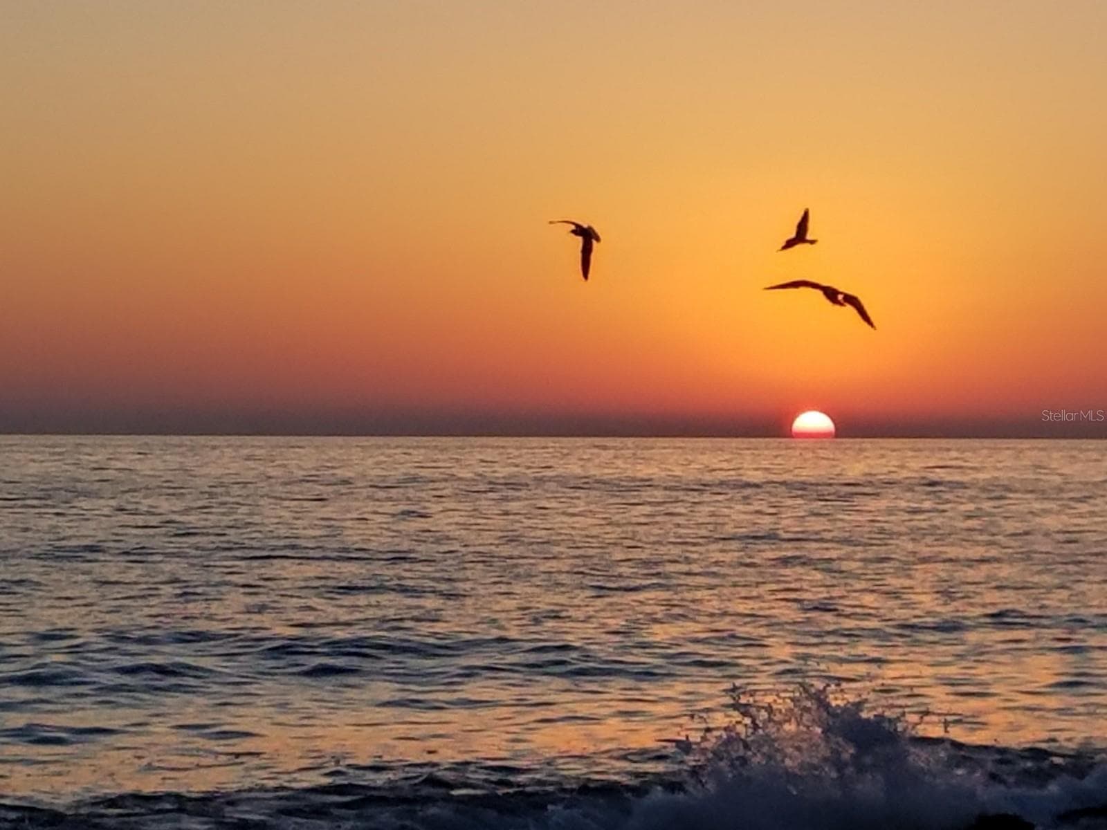 sunset over Gulf - 649 S TAMIAMI TRL S #304, VENICE