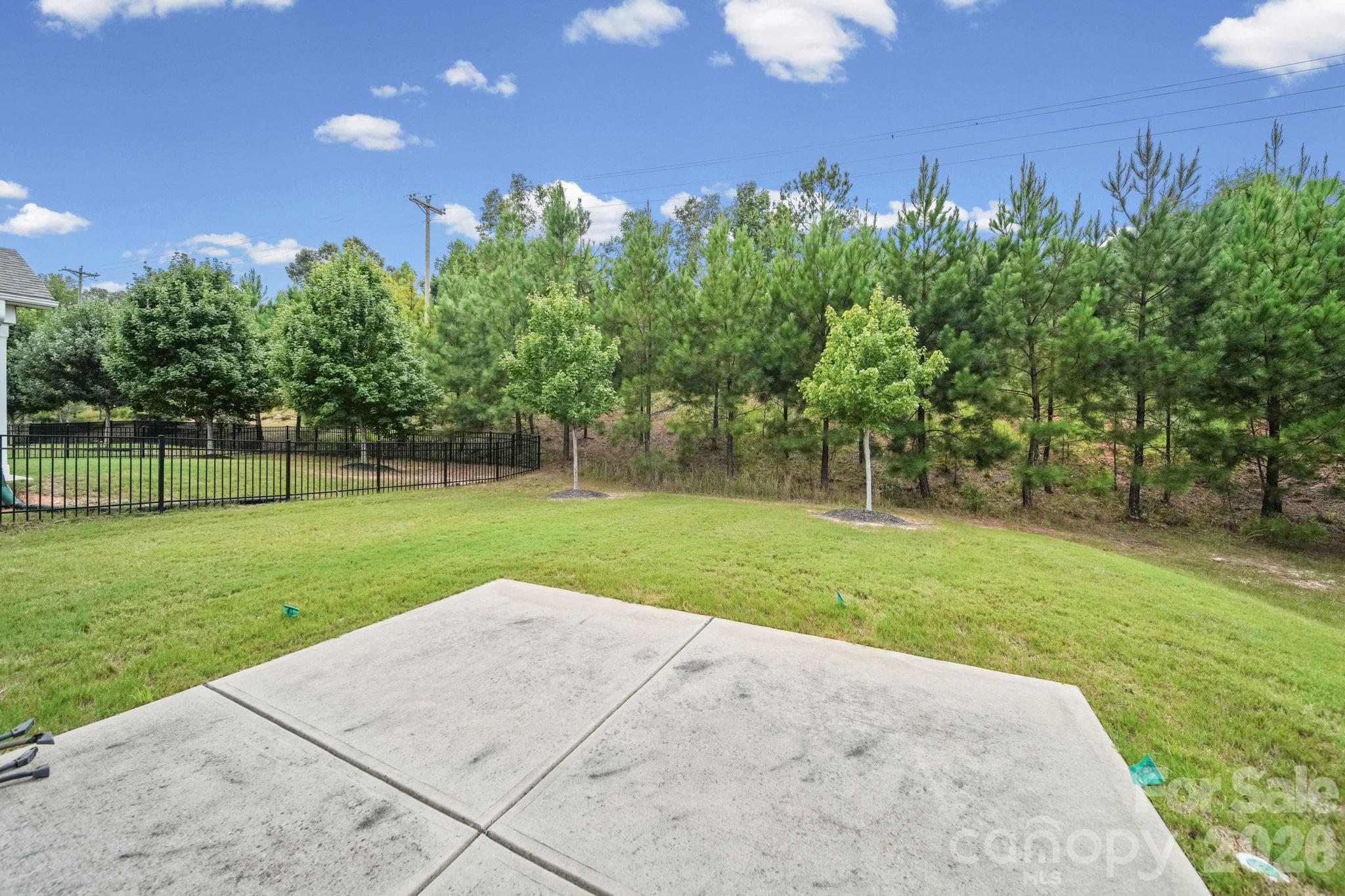 Treeline behind home - 7203 Chrysanthemum Road, Lancaster