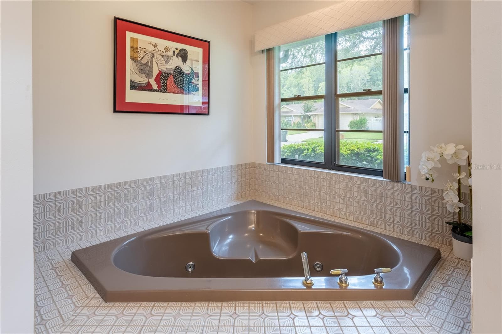 Mid century modern relaxing jacuzzi for a nice soak after a long day - 16509 E COURSE DR, TAMPA