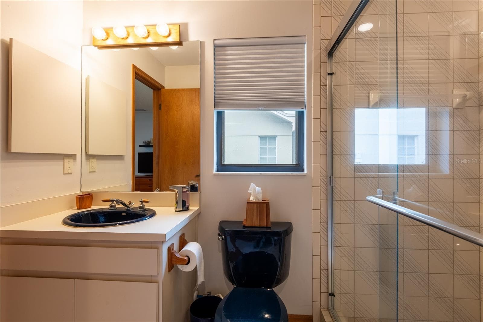 Second bathroom - 16509 E COURSE DR, TAMPA