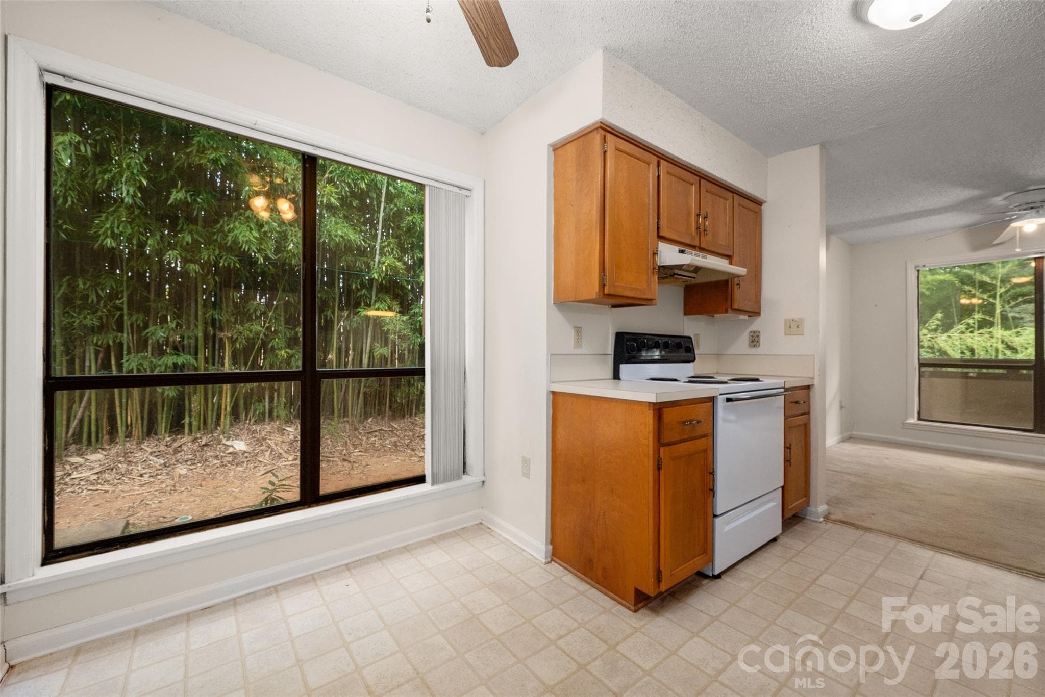 Condominium at 7203 Winery Lane, Charlotte, photo 16 of 38