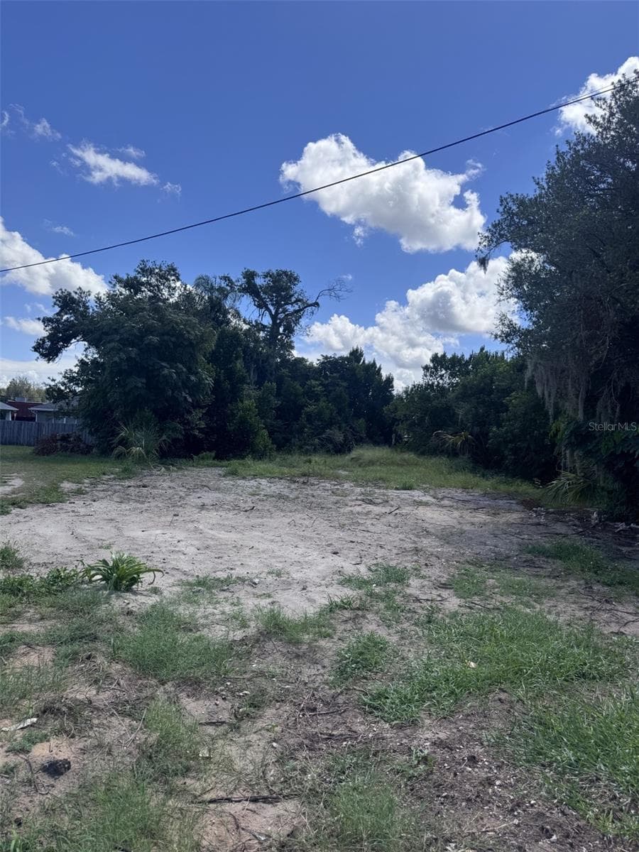 Land at 232 C ST, LAKE WALES, photo 9 of 13