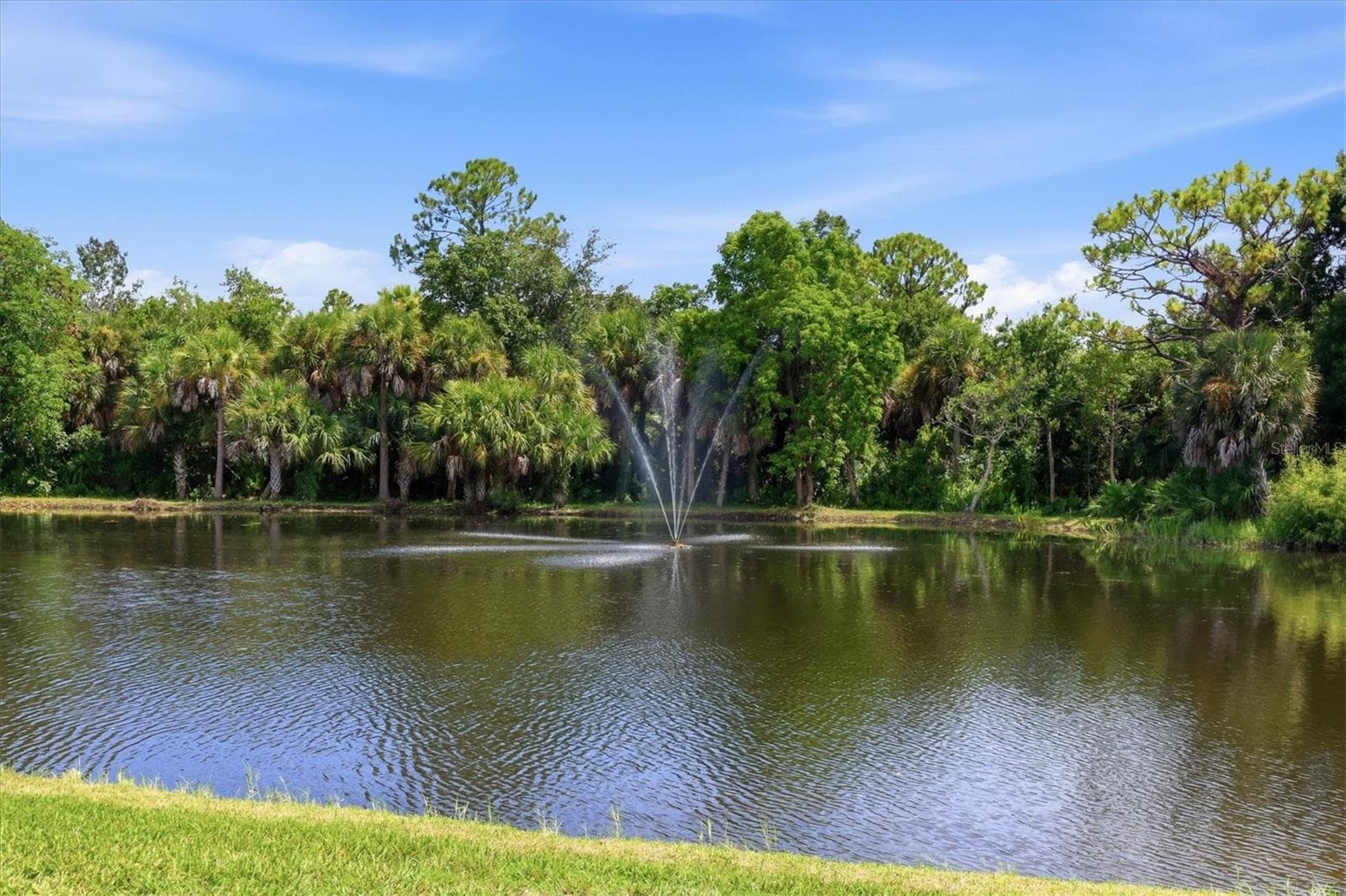 View of the pond from the pool area. - 259 PARK FOREST BLVD, ENGLEWOOD