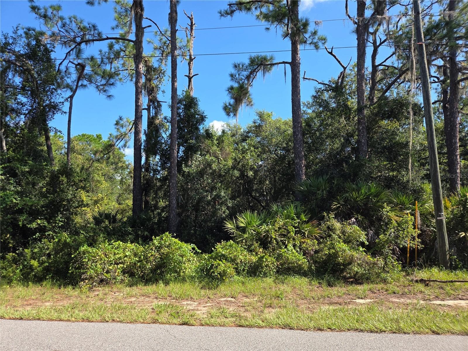 DEER RD