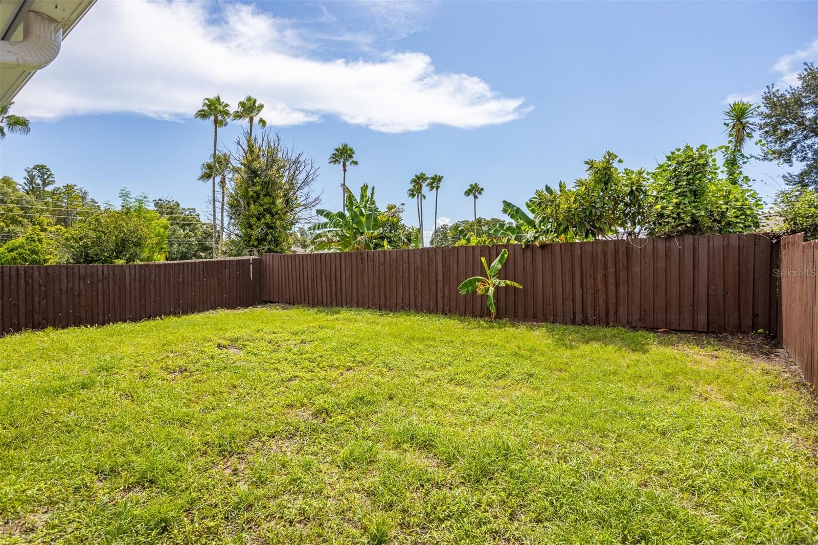 Single Family Residence at 22836 MARSH WREN DR, LAND O LAKES, photo 26 of 30