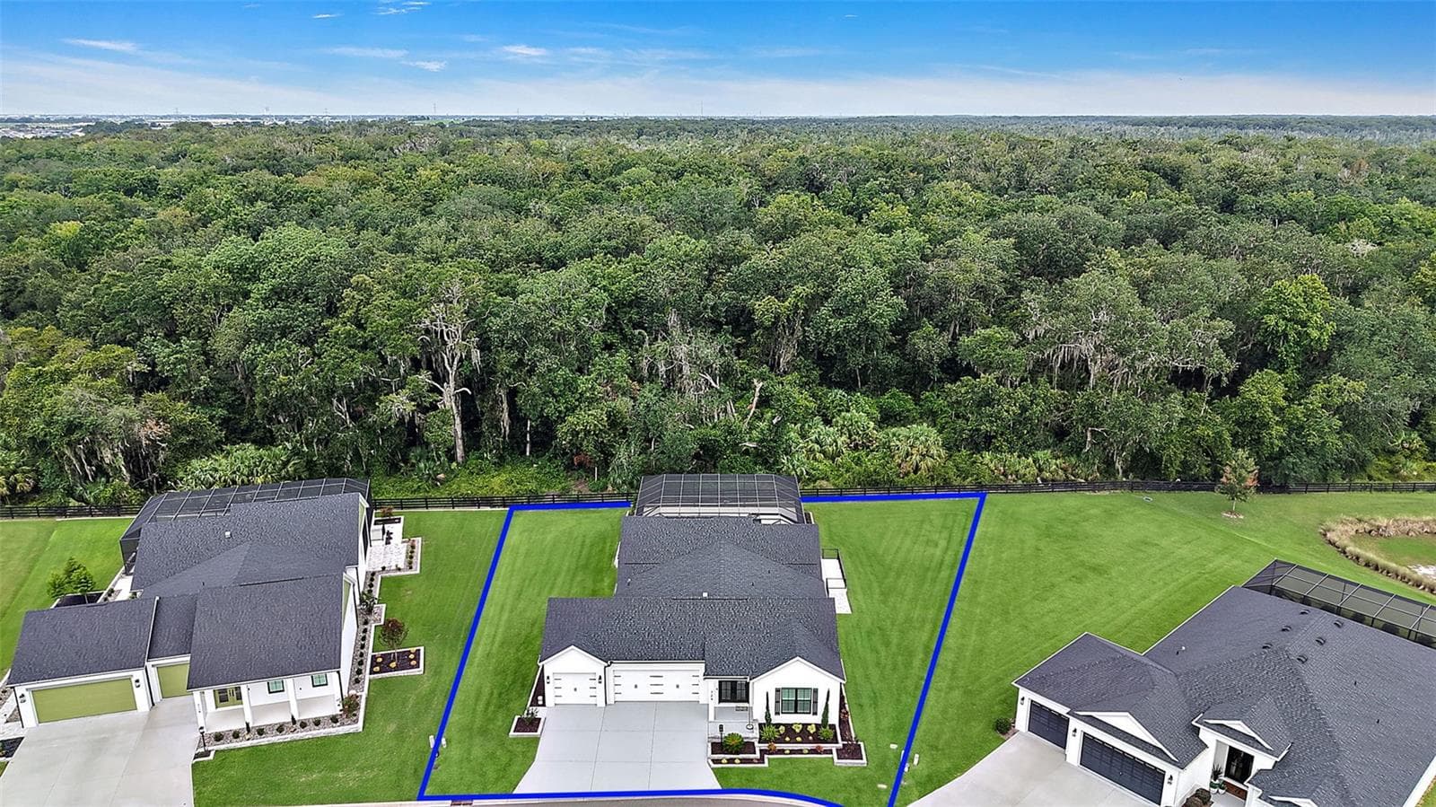 Aerial Front Elevation with Property Lines EXPANSIVE Lake Okahumpka PRESERVE VIEWS! - 724 SHIVERS LOOP, THE VILLAGES
