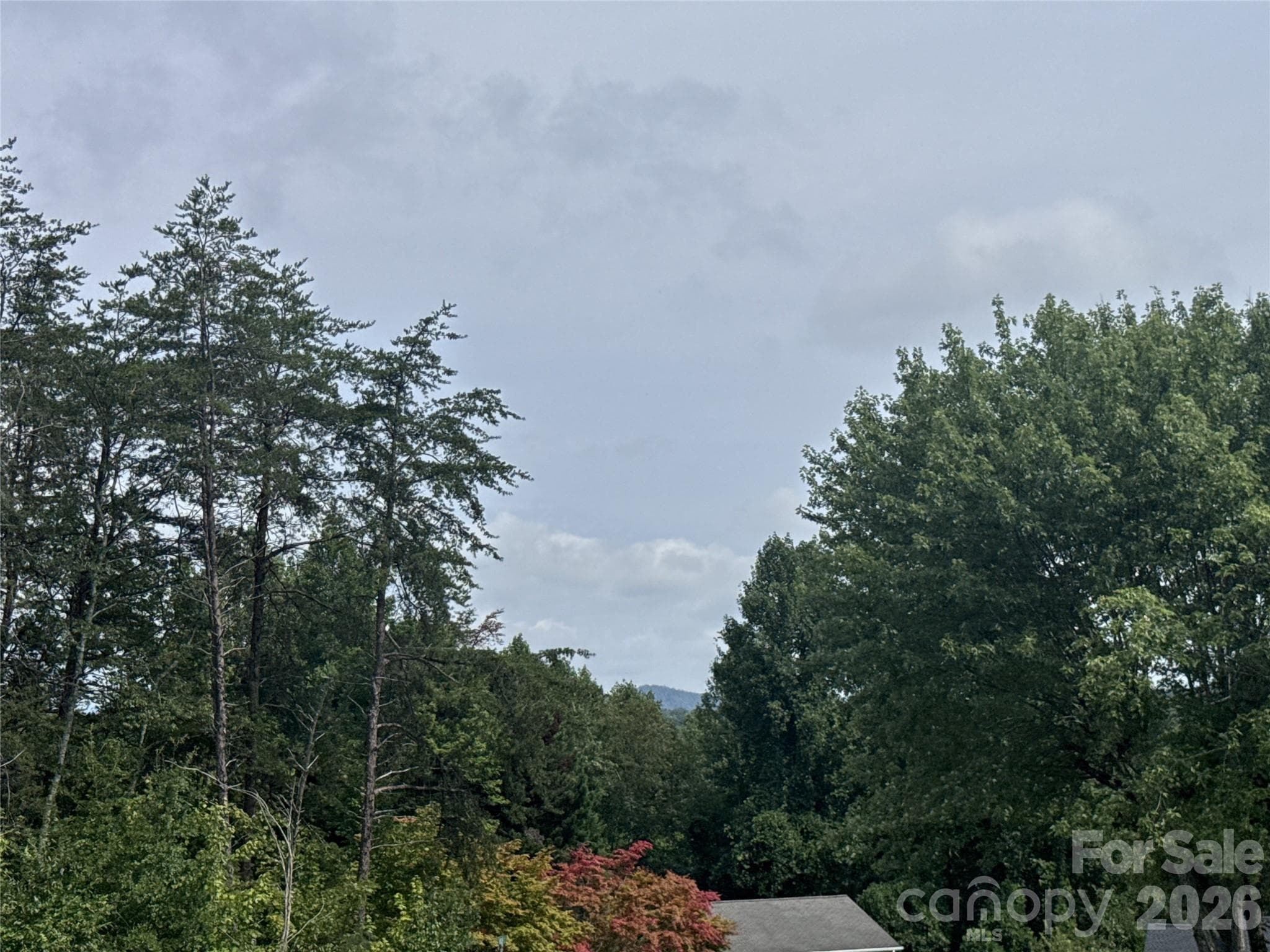 View from Front porch - 3535 High West Drive, Lenoir