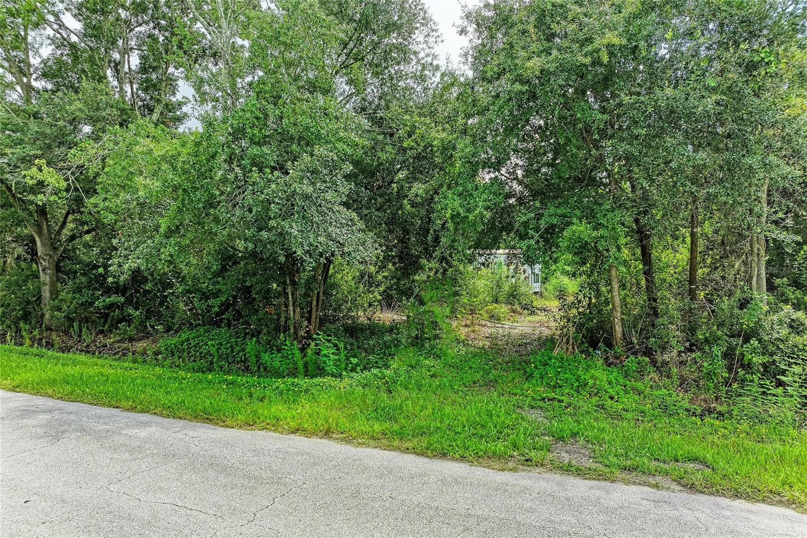 Land at 10907 ESTATES DEL SOL DR, RIVERVIEW, photo 4 of 29