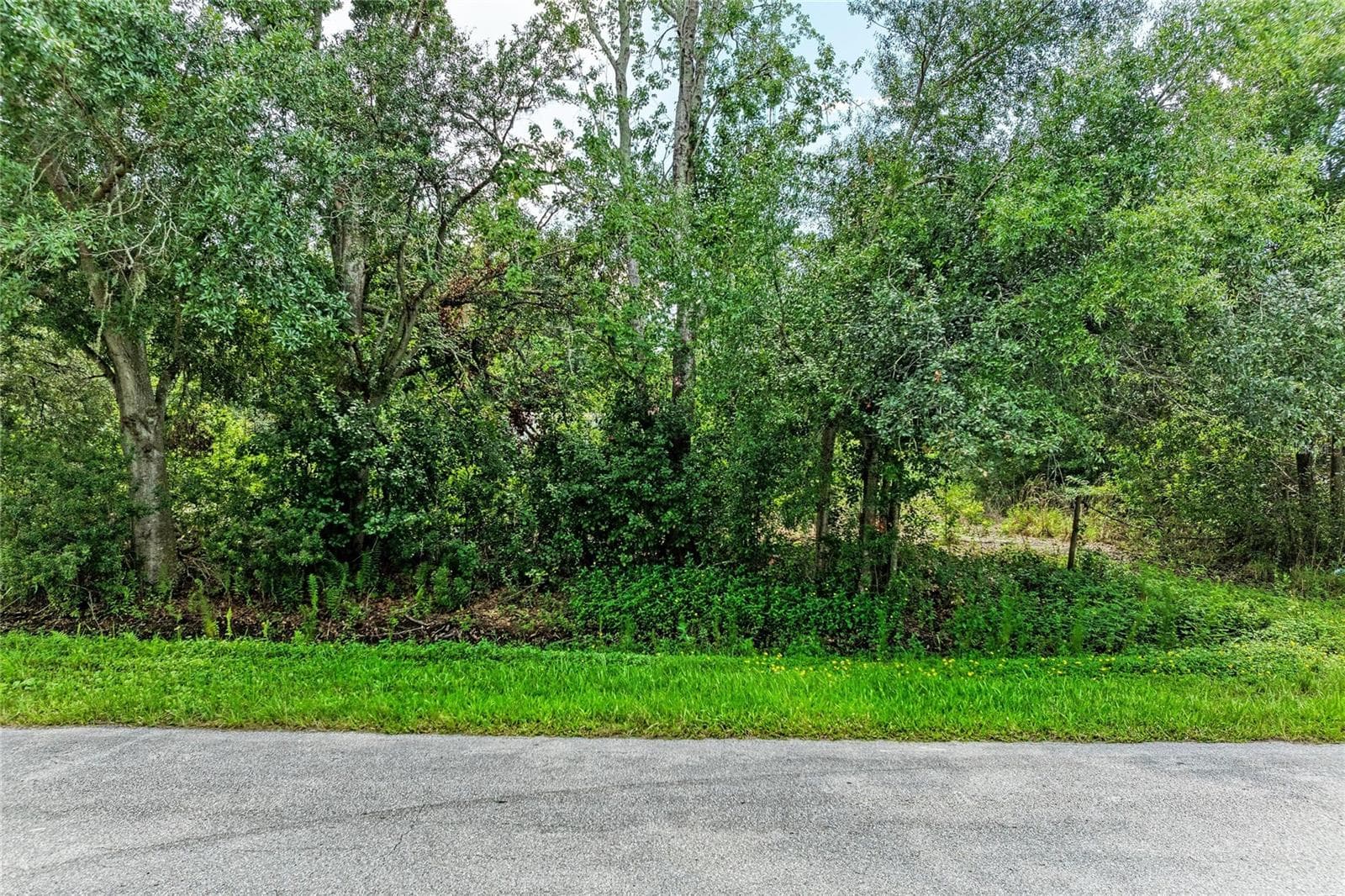 Land at 10907 ESTATES DEL SOL DR, RIVERVIEW, photo 6 of 29