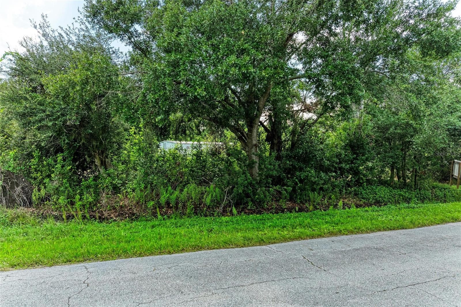 Land at 10907 ESTATES DEL SOL DR, RIVERVIEW, photo 7 of 29