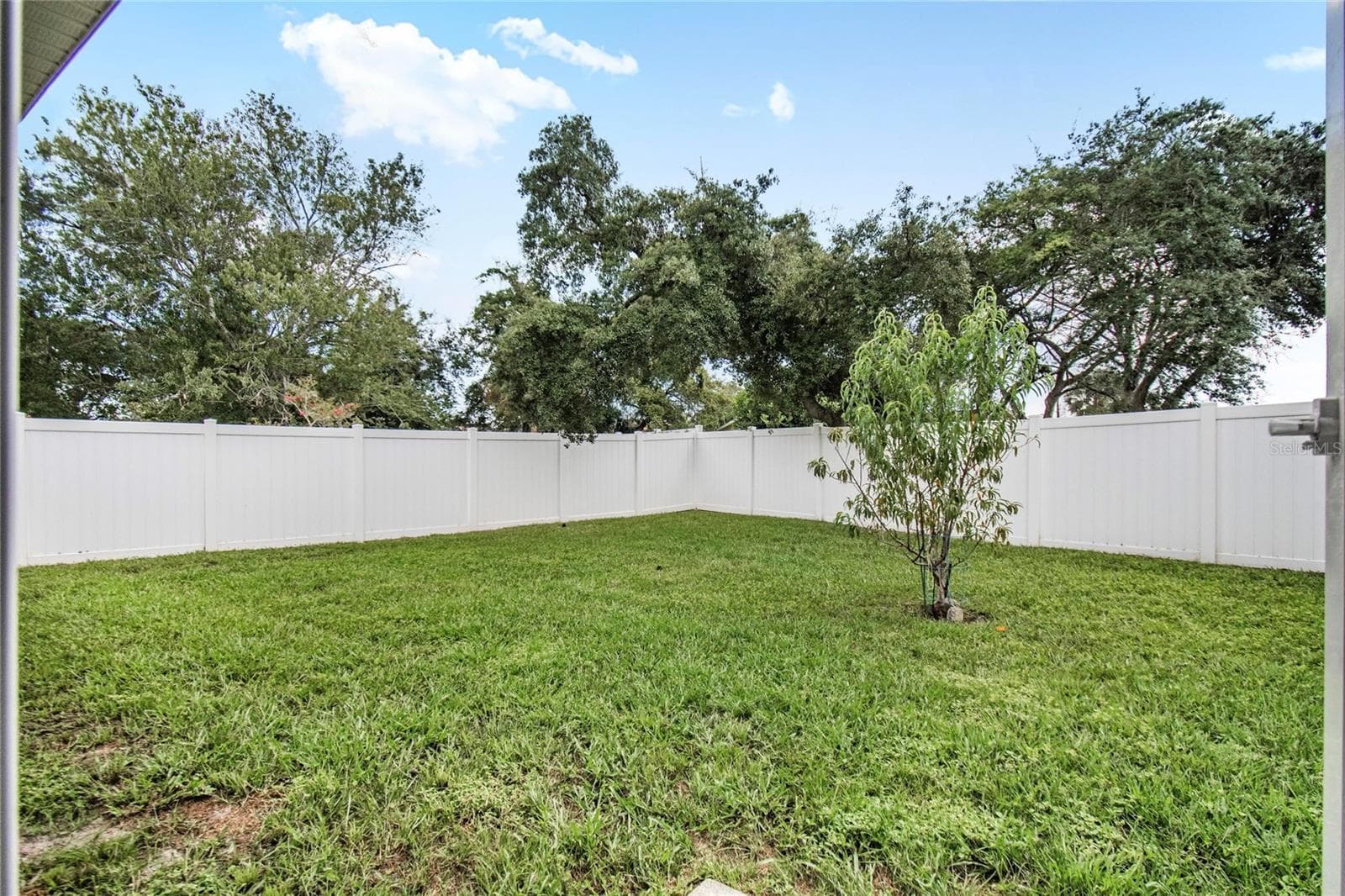 Fenced in backyard - 43 FOLSON LN, PALM COAST