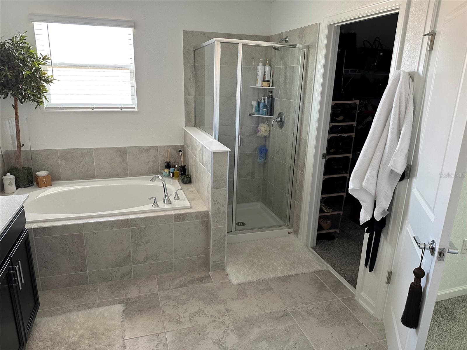 Master bath 1 - 8946 FLUFFY LIE CT, DAVENPORT
