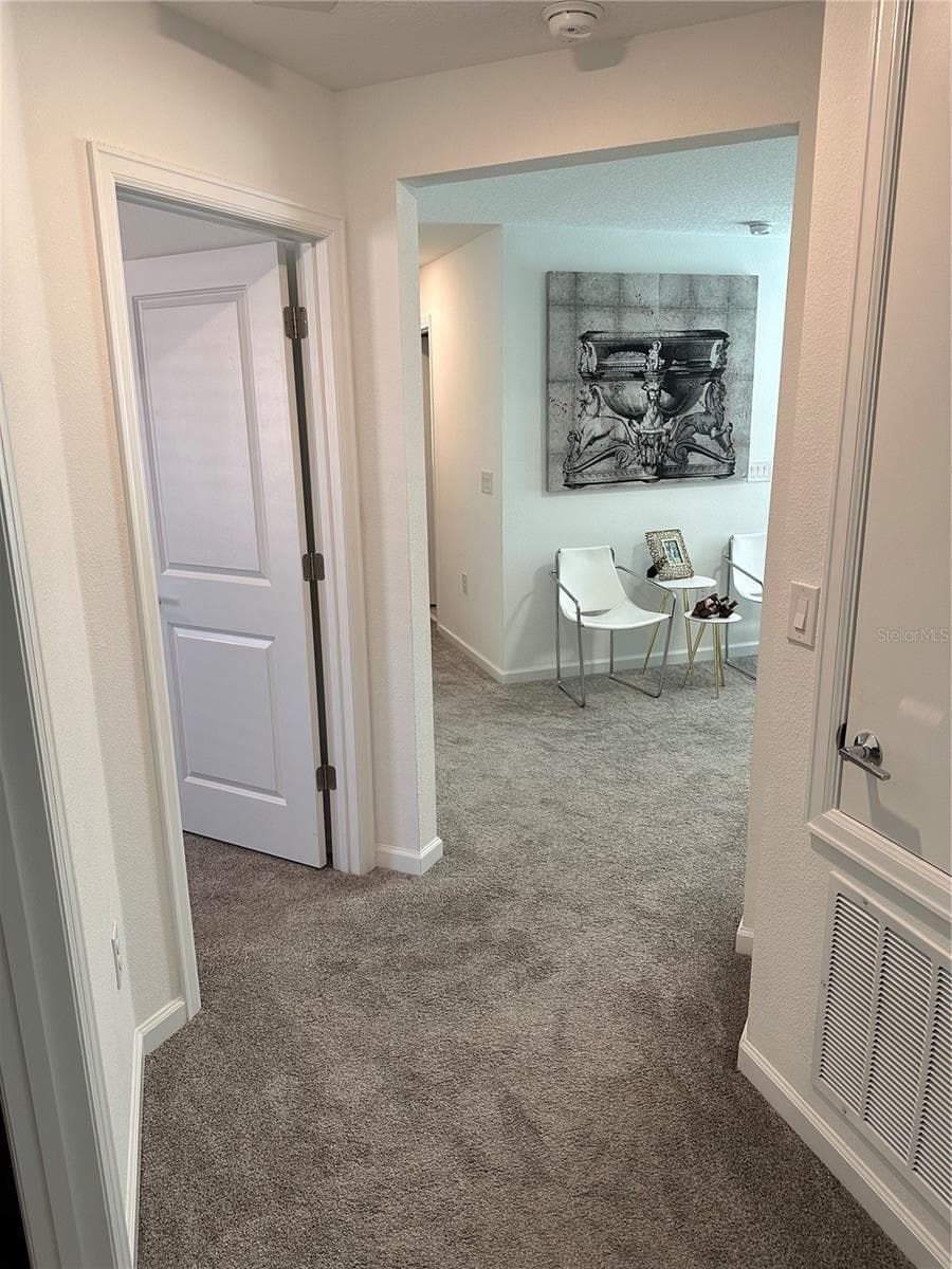 Hall - 8946 FLUFFY LIE CT, DAVENPORT