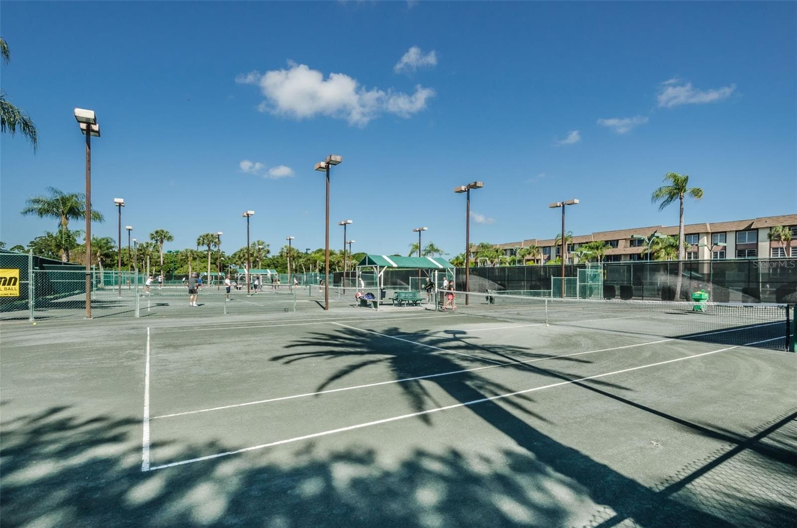 Countryside Country Club tennis/pickle ball - 3276 FOX HILL DR, CLEARWATER