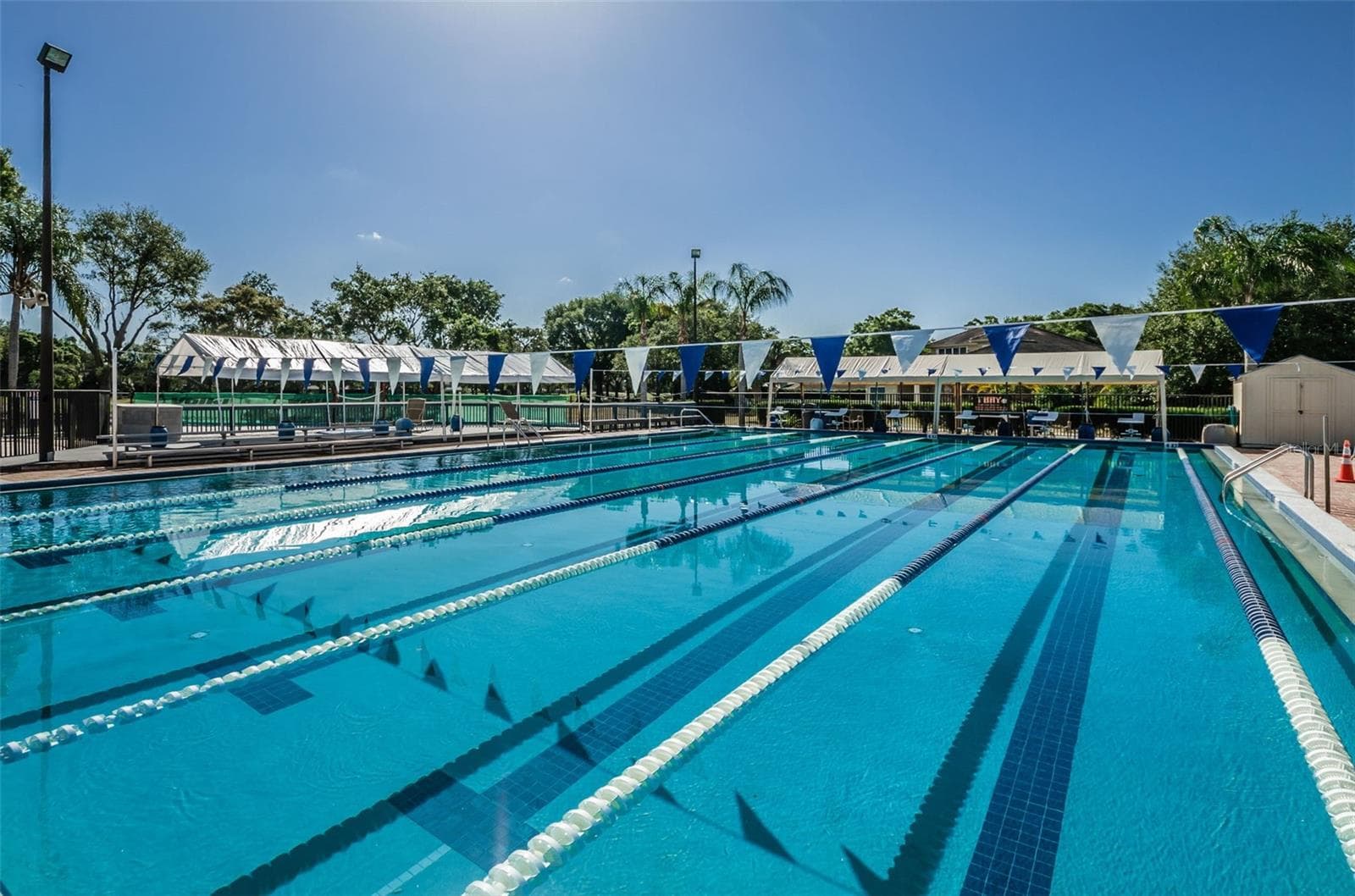 Competitive swim program available - 3276 FOX HILL DR, CLEARWATER