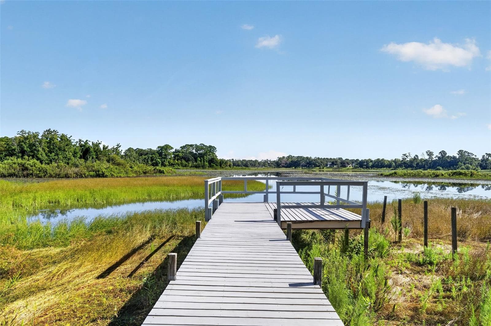 Lake view - 401 N 1ST ST, LAKE MARY